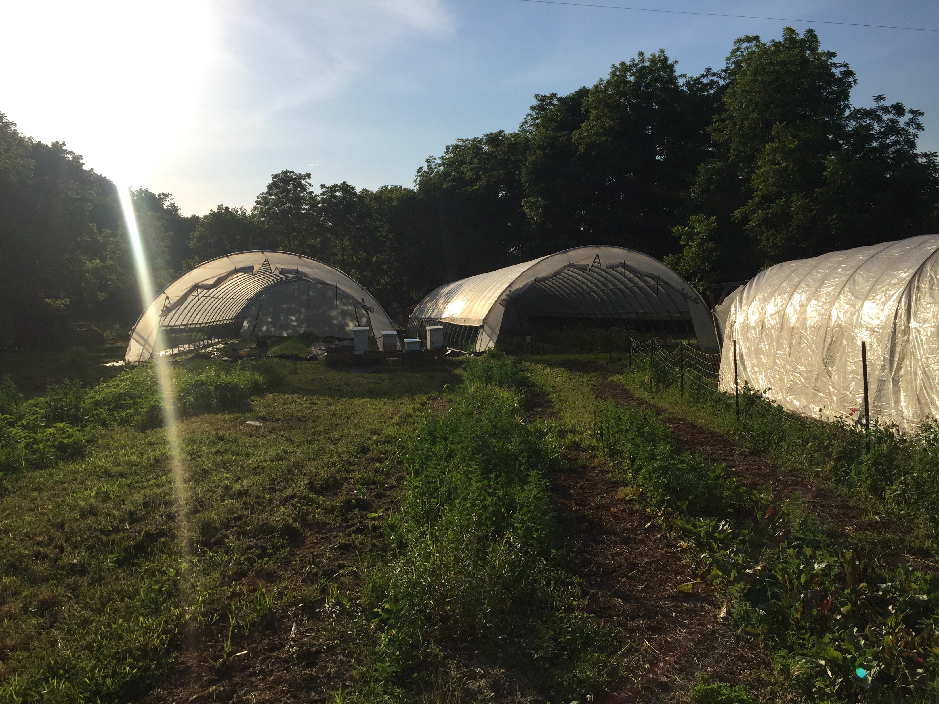 Saco Valley Farm, LLC