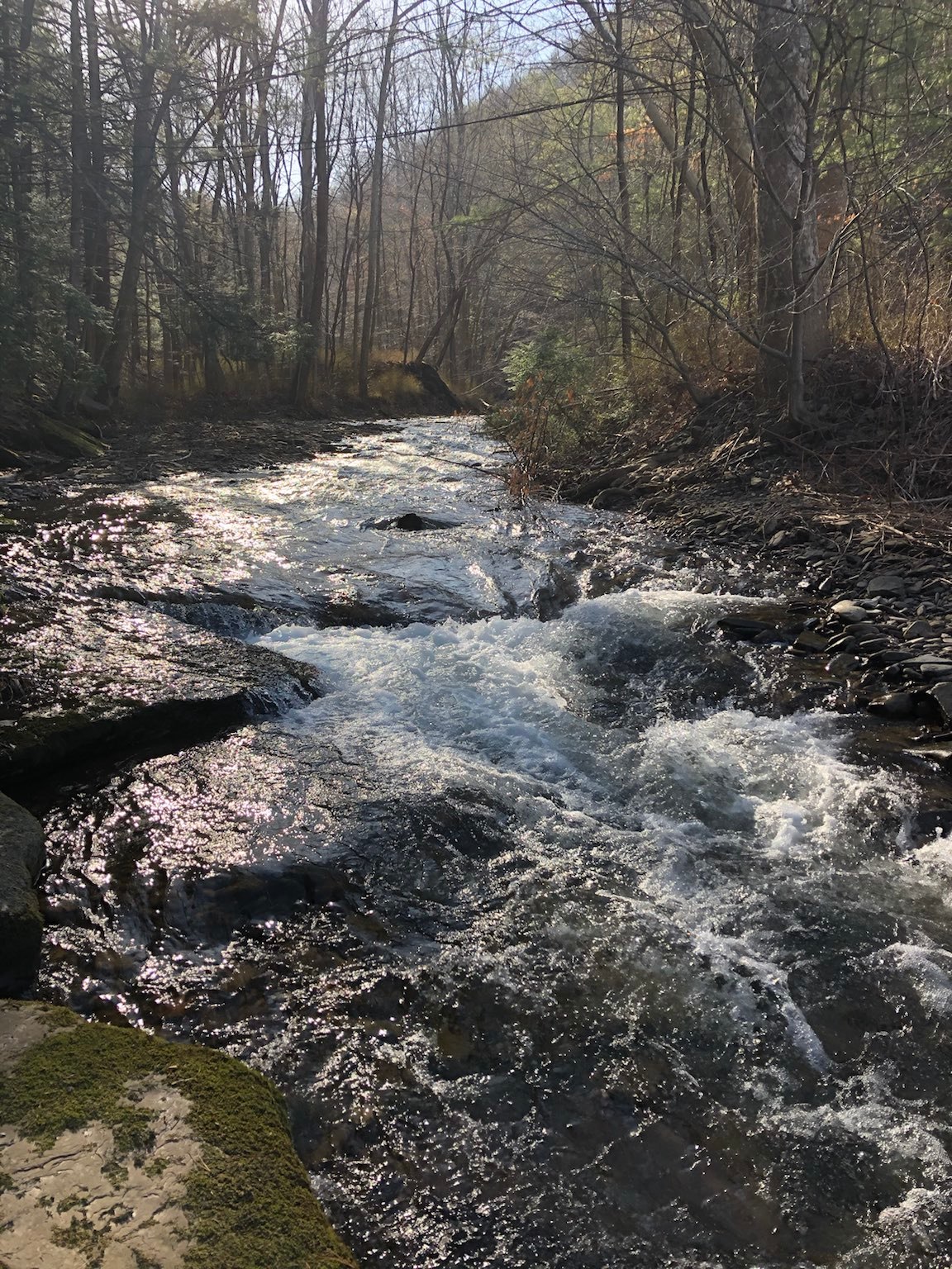 Camp Skipping Rock on Pine Creek