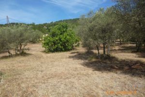 Bastide Virginie