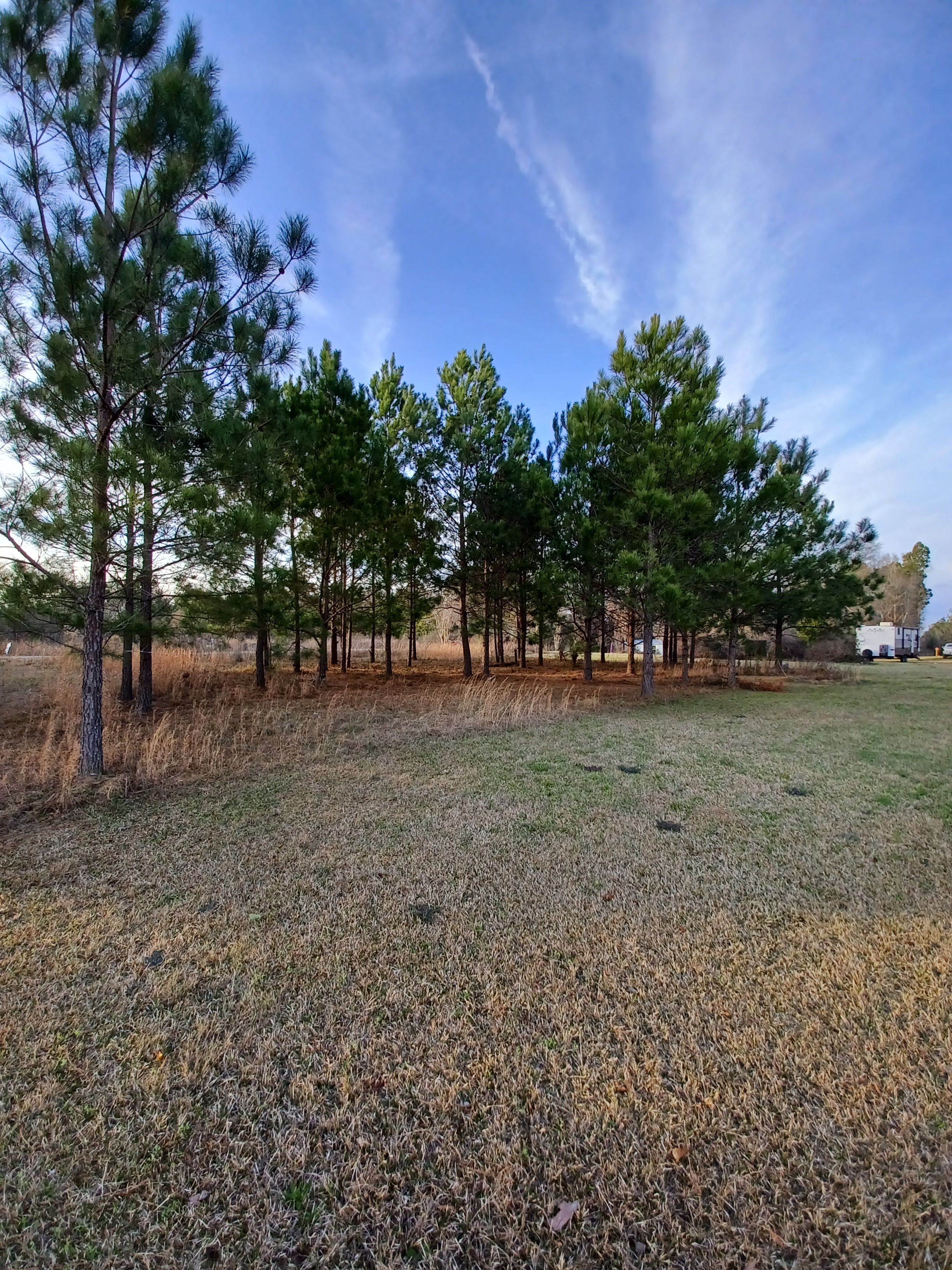 Circle E Ranch and Funny Farm