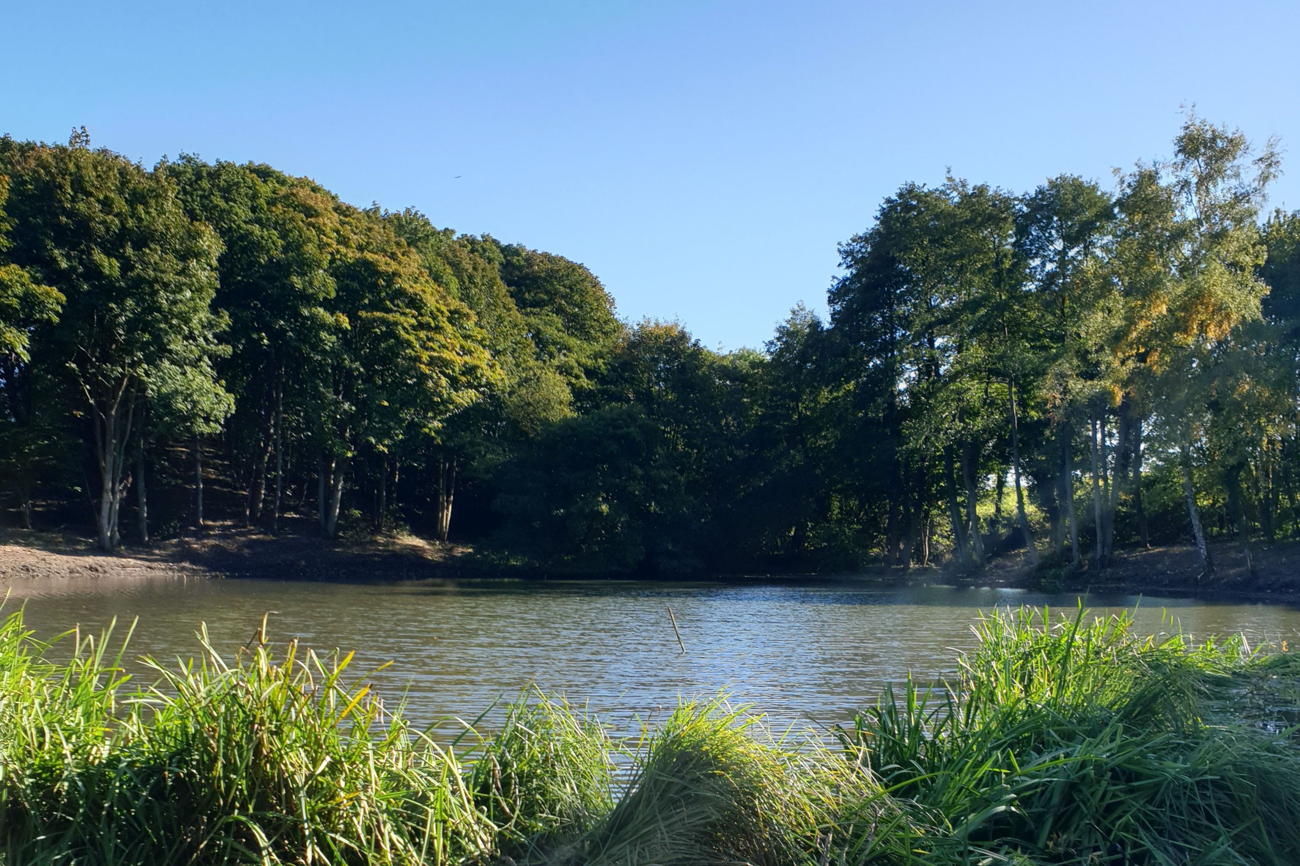 North Norfolk Camping & Glamping