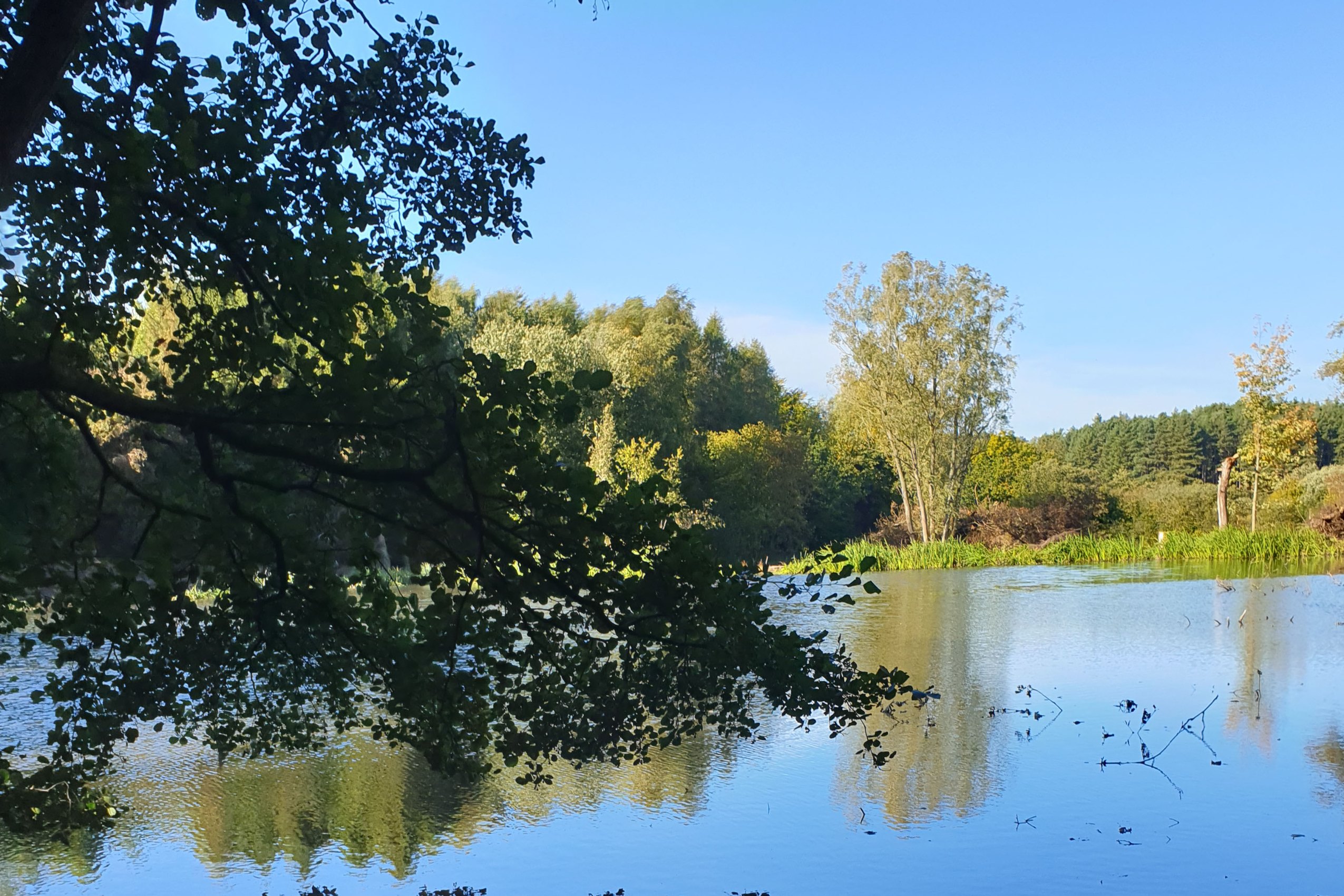 North Norfolk Camping & Glamping