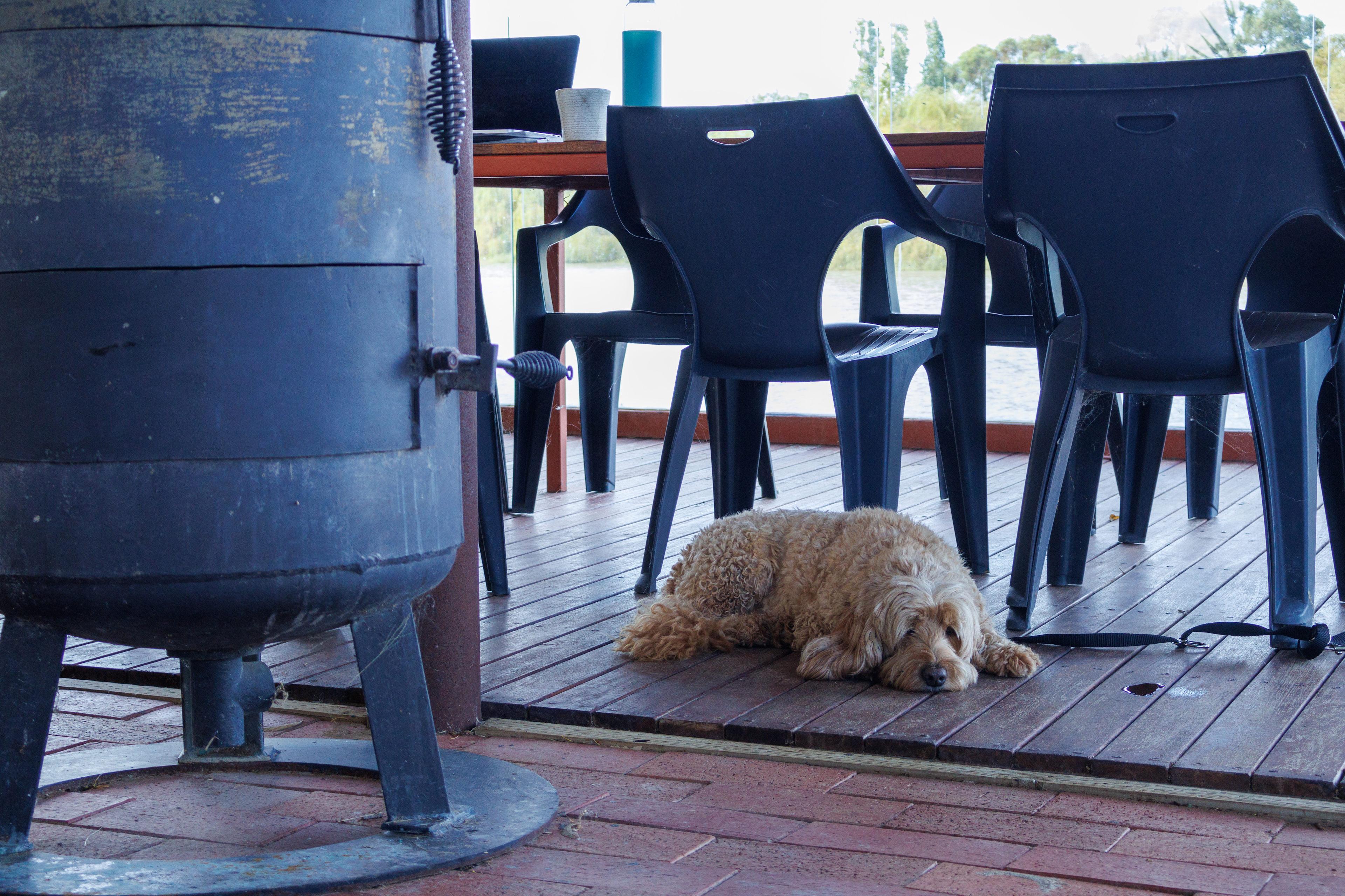 Burraburoon Farmstay