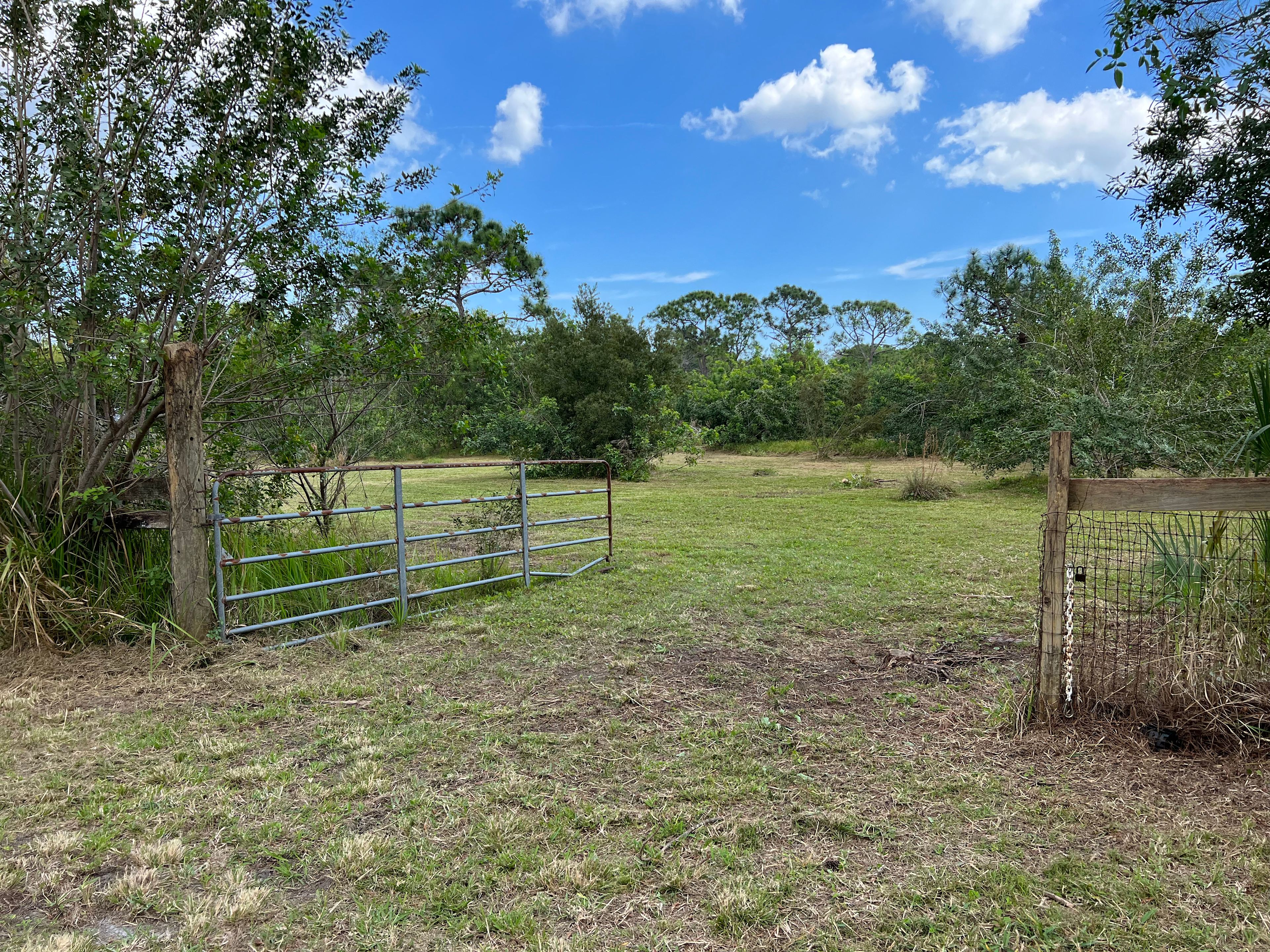 Peaceful Pastures