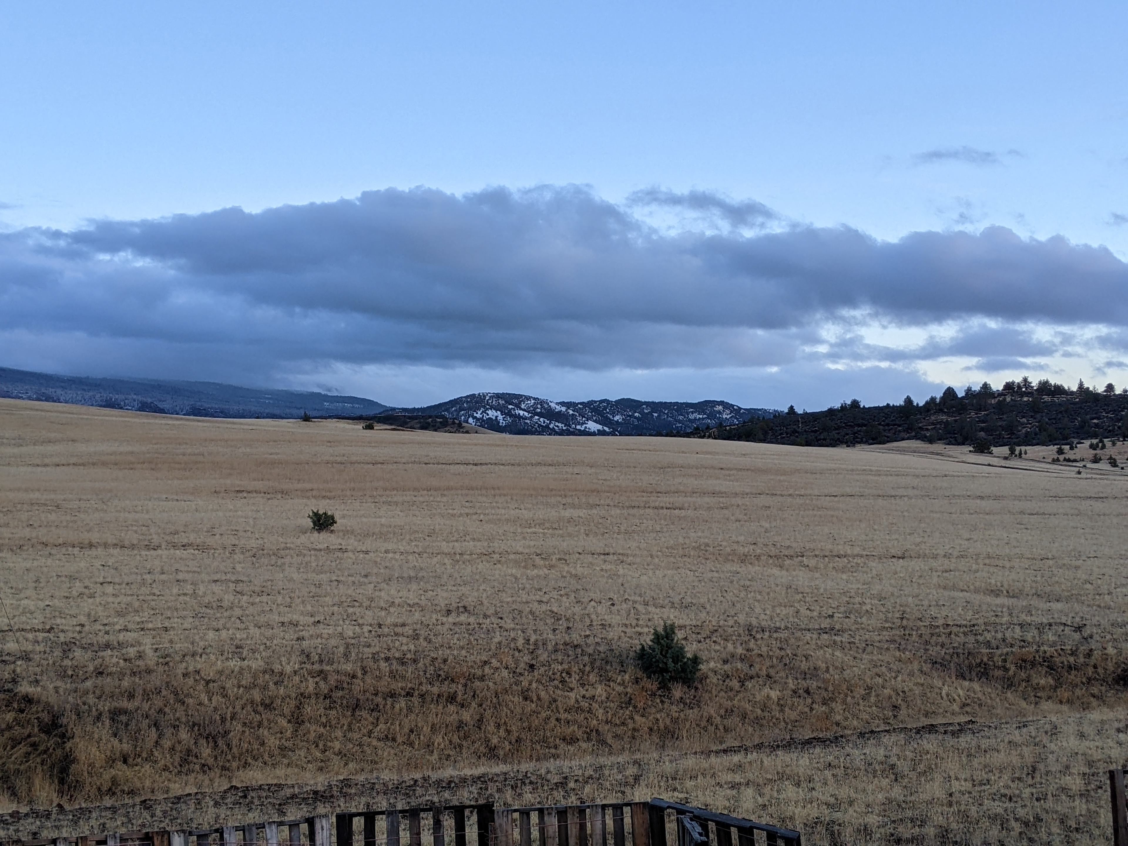 Our little part of the prairie 