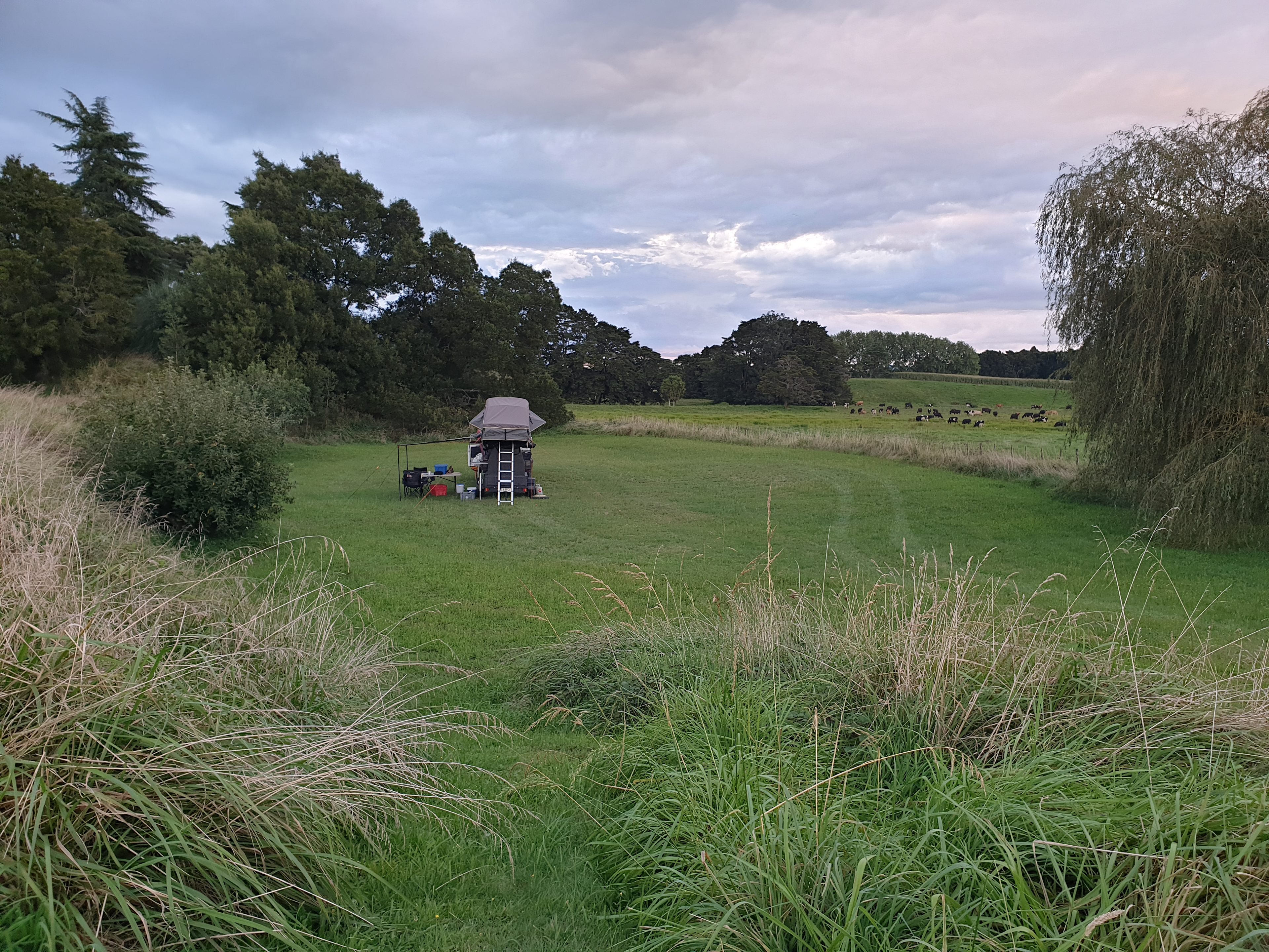 Whitikahu Glade