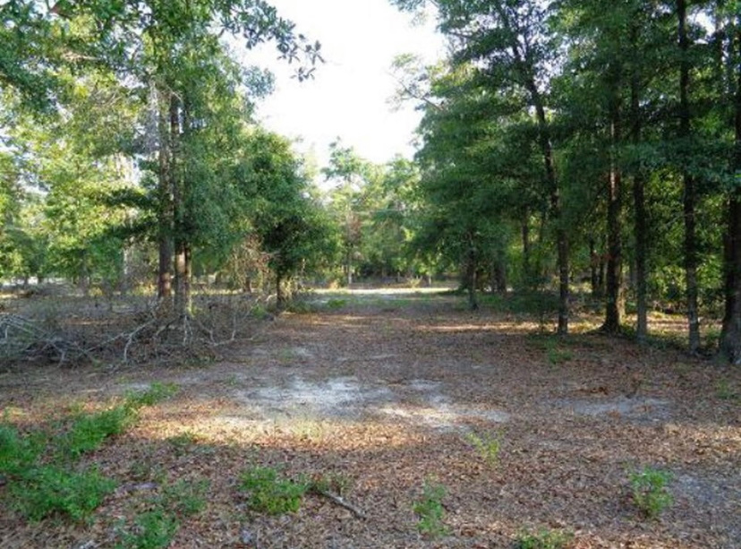 Seago Rd Dry Camping
