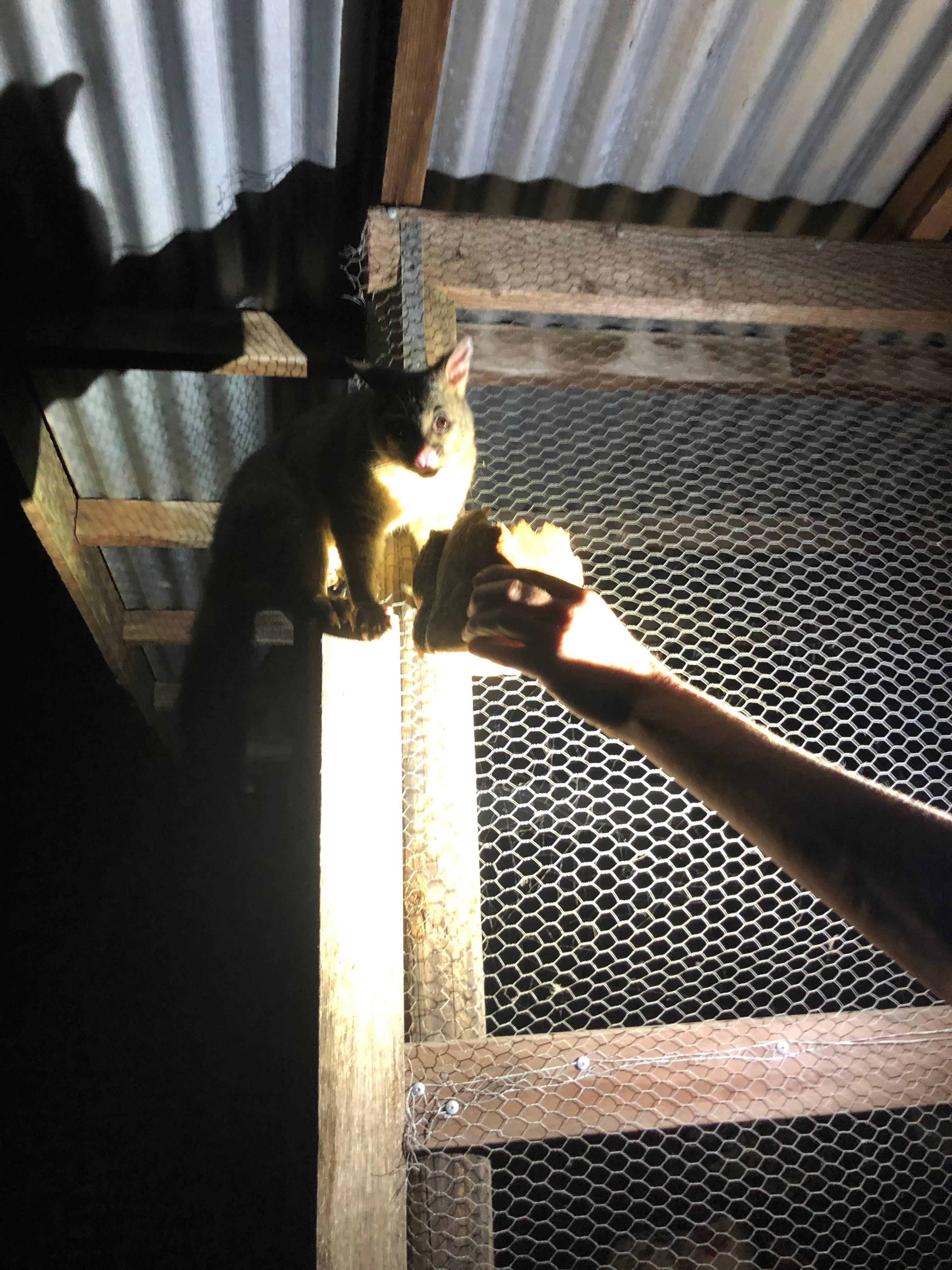 Edendale Farm- 4mins from beach