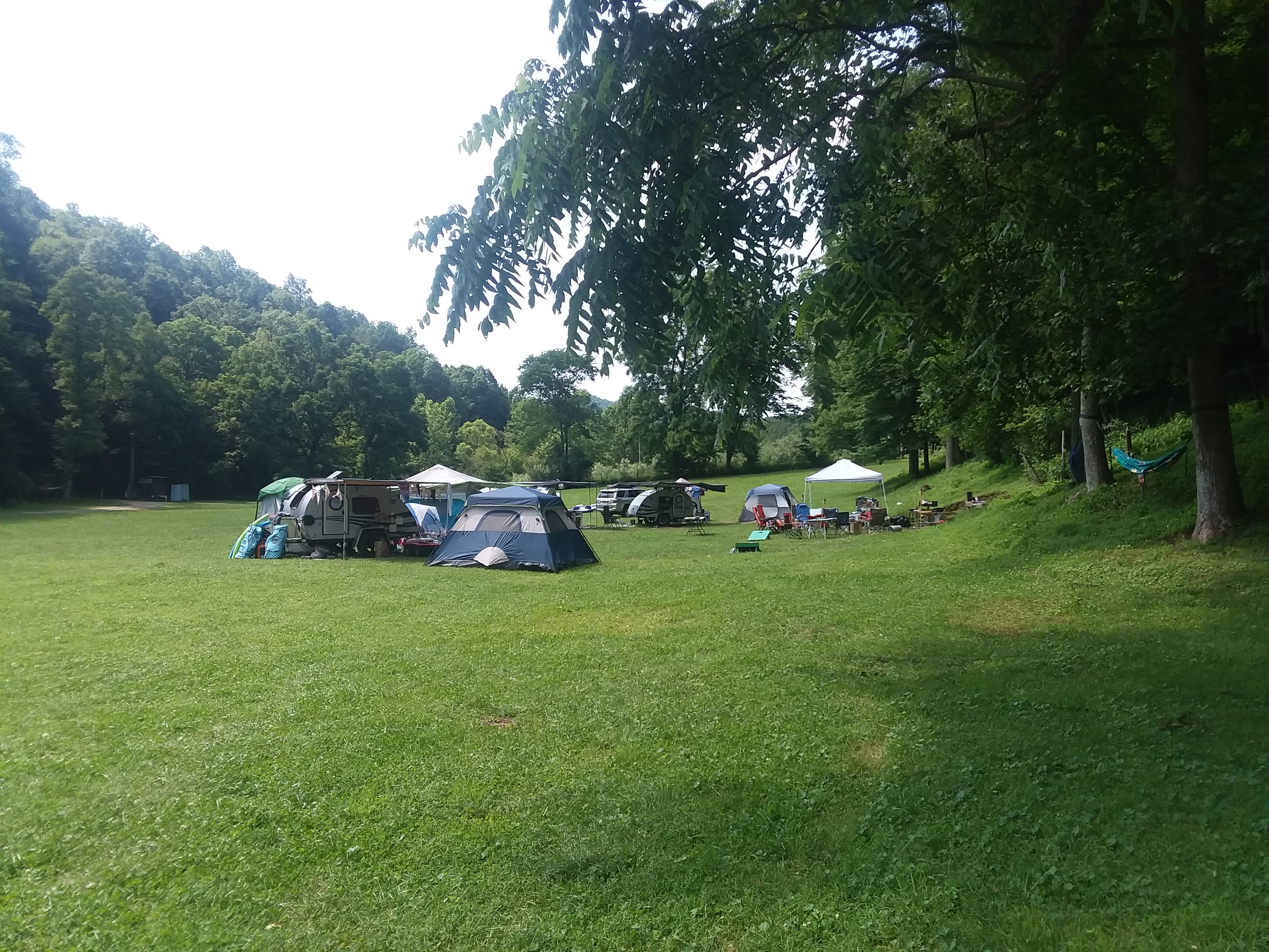 Tawney Farm's Wild & Woolly