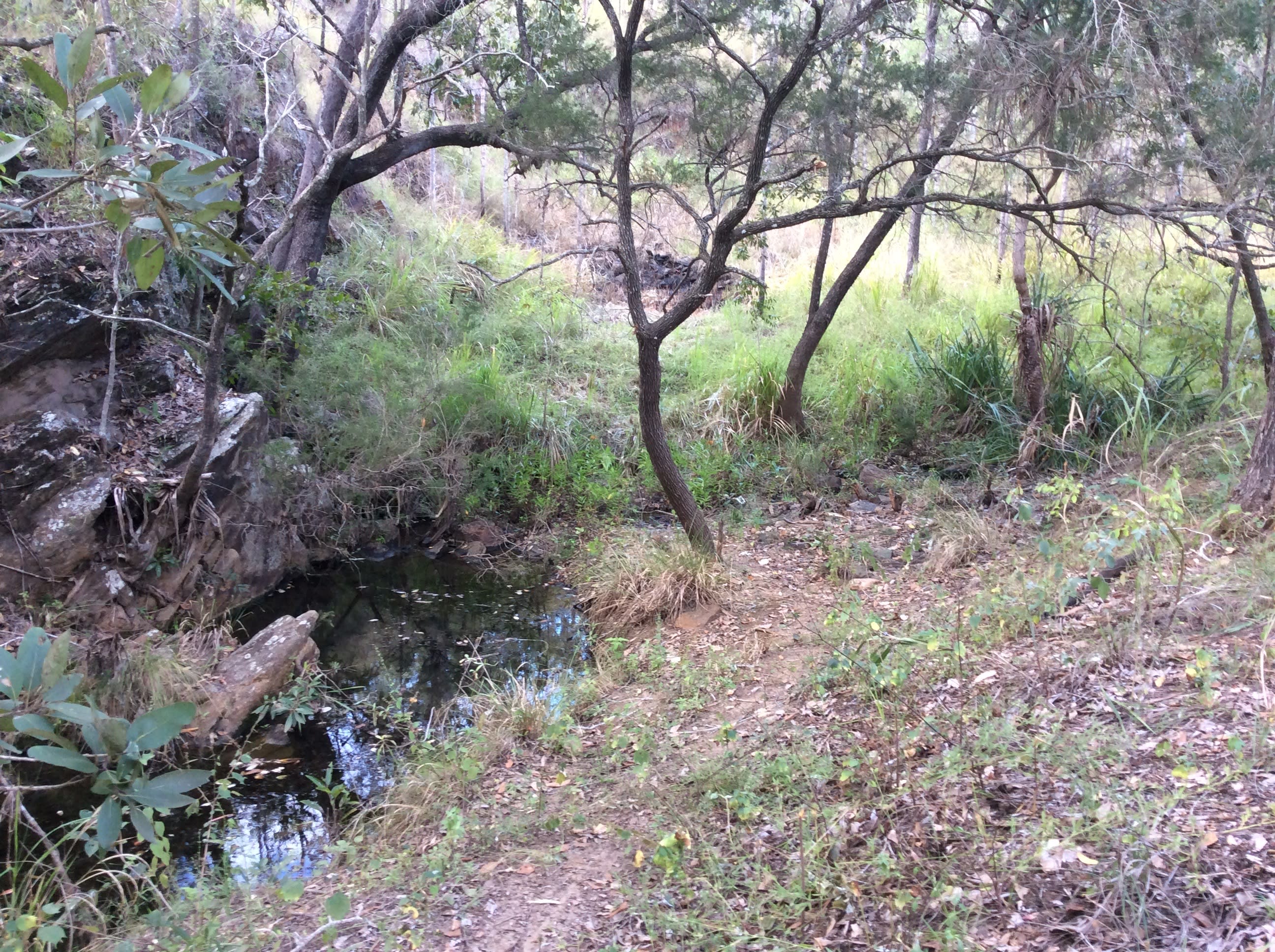 Long time ago Ada creek looked like this