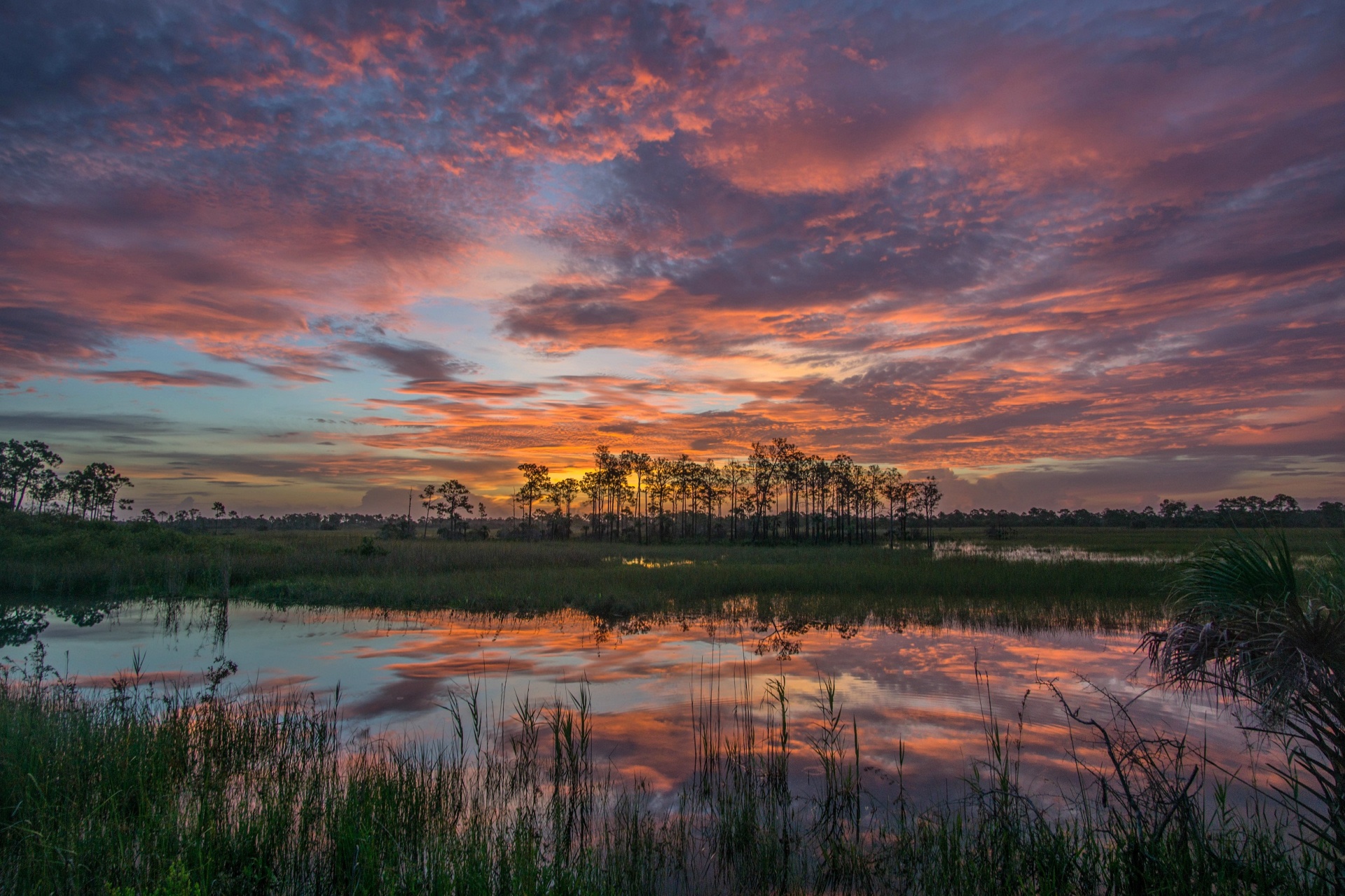 Big Cypress National Preserve