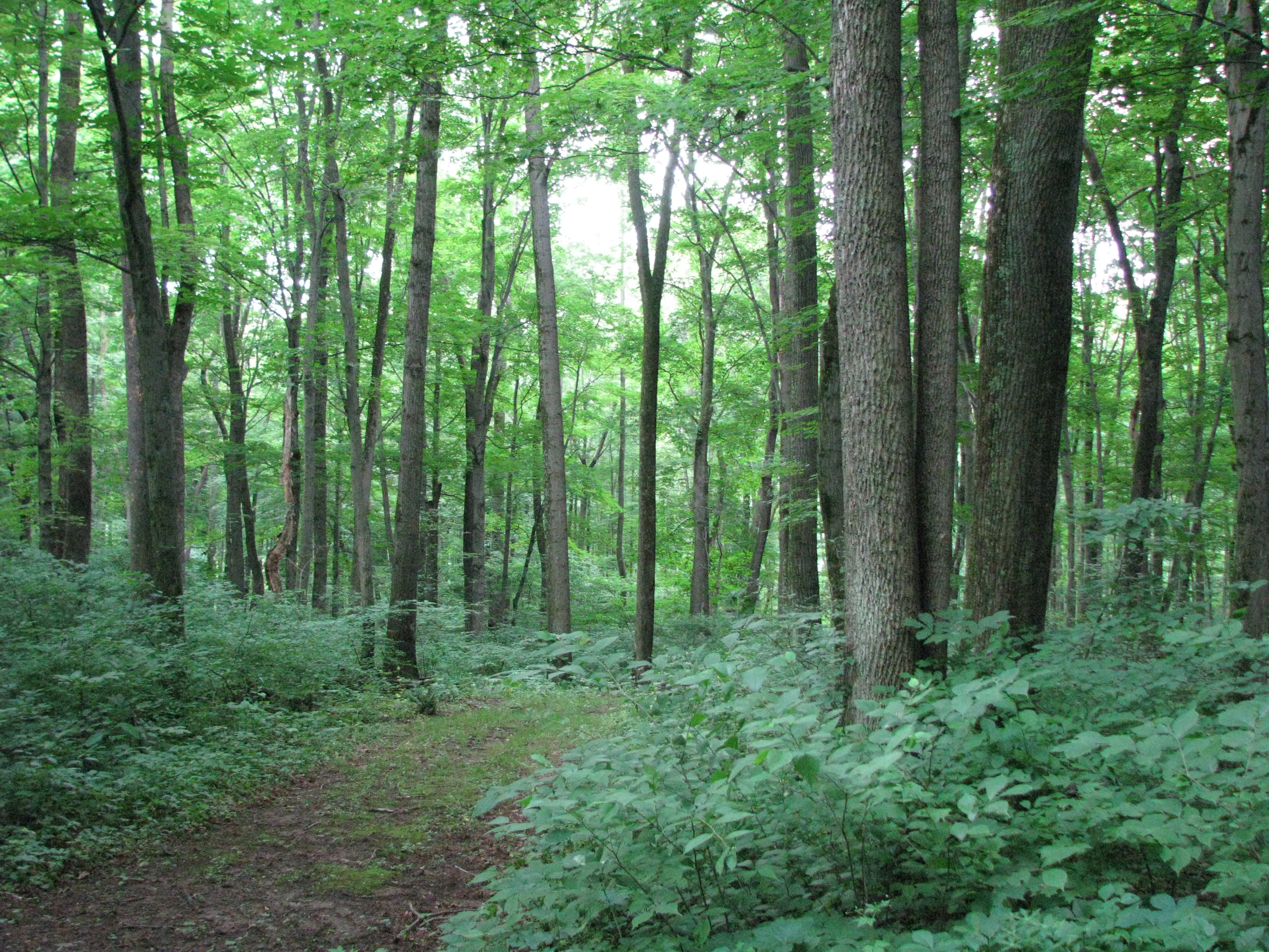 ​Warriors Path State Park