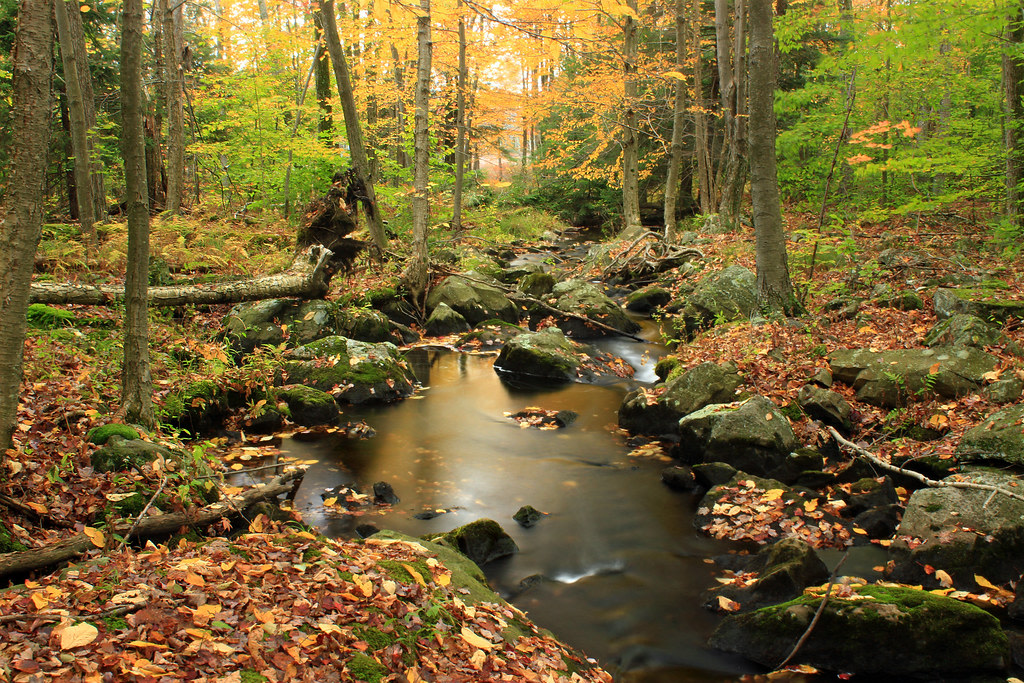 Gouldsboro State Park