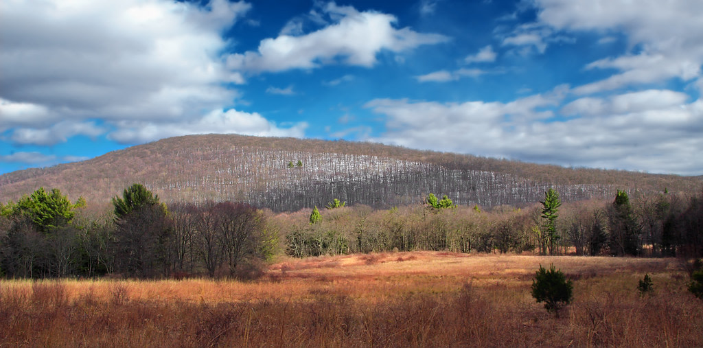 Nescopeck State Park