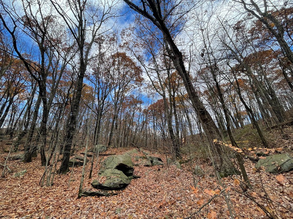 Archbald Pothole State Park