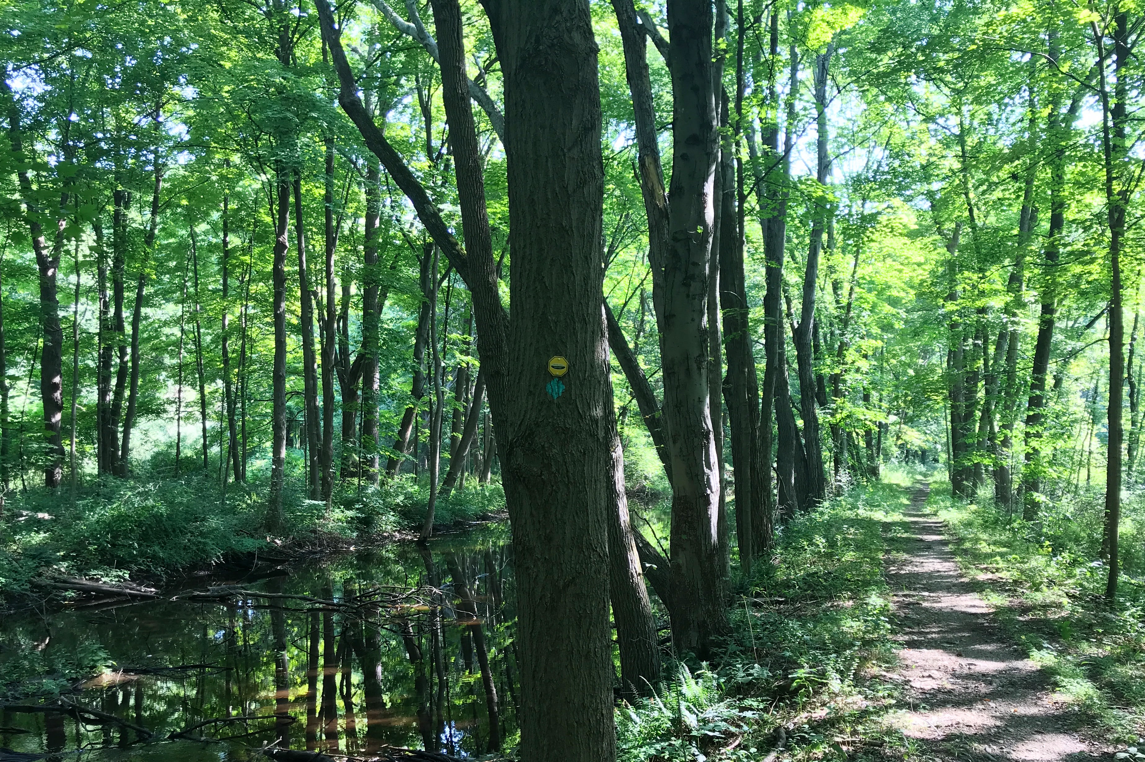Allamuchy Mountain State Park
