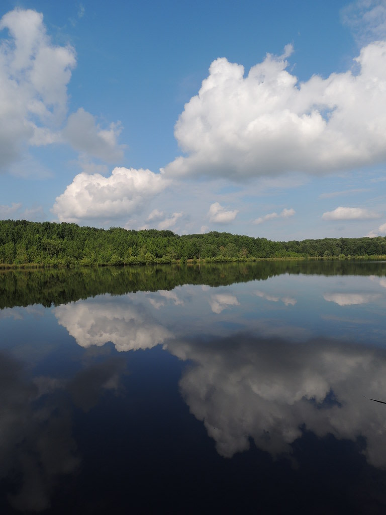 Pigeon Swamp State Park