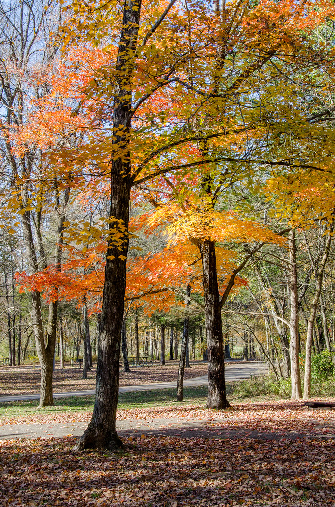 Sam A. Baker State Park