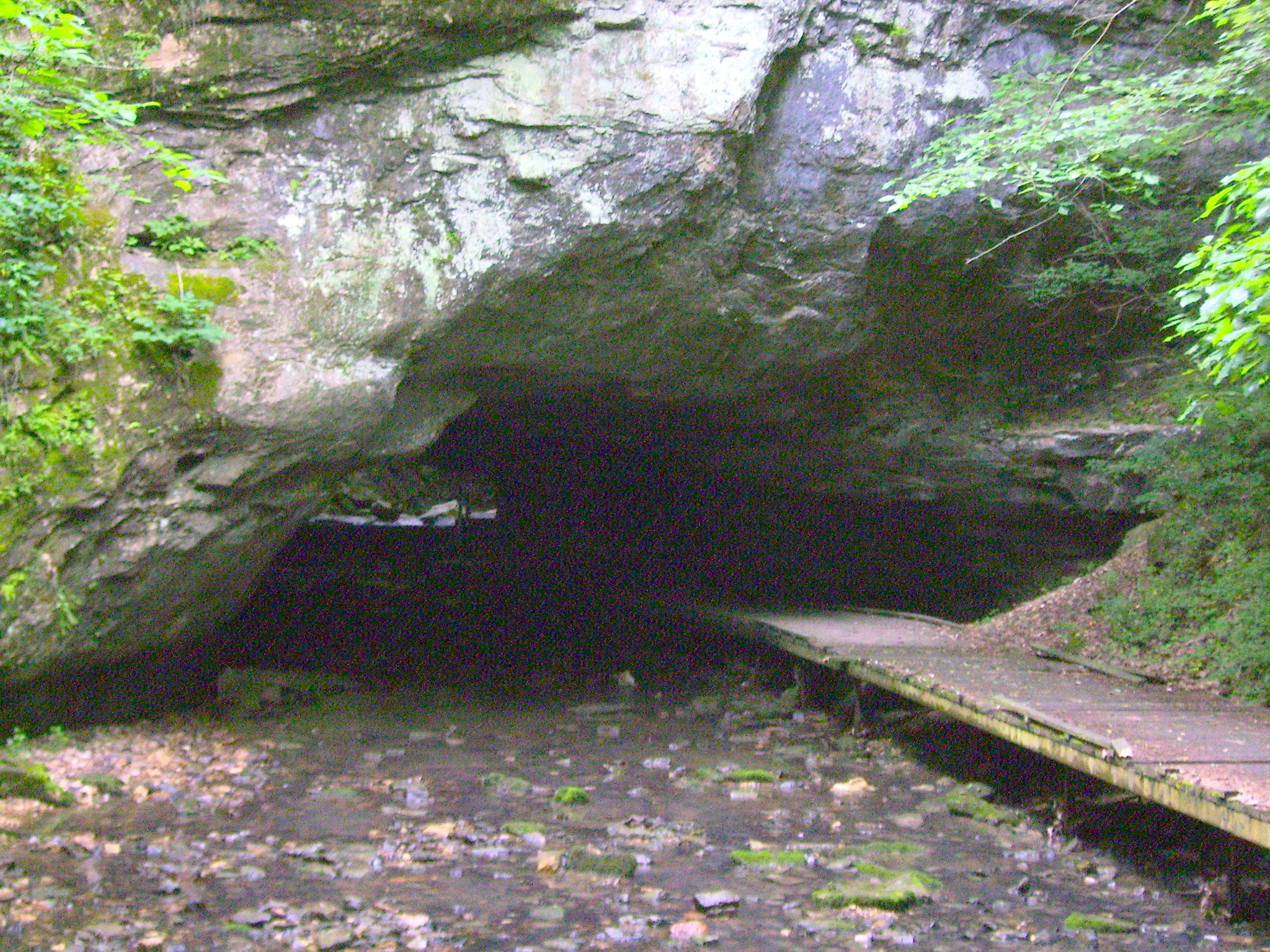 Rock Bridge Memorial State Park