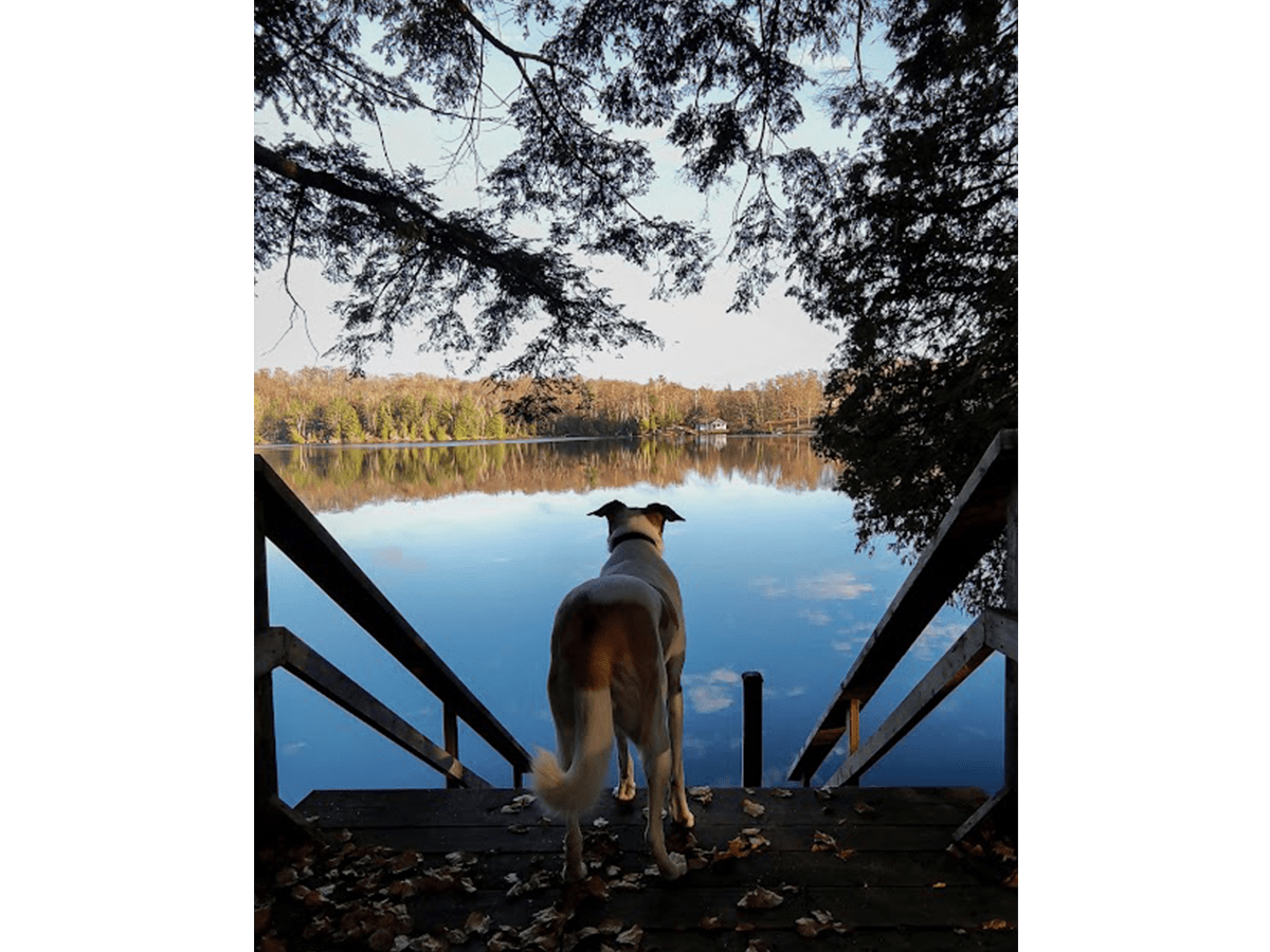 North Frontenac Lodge