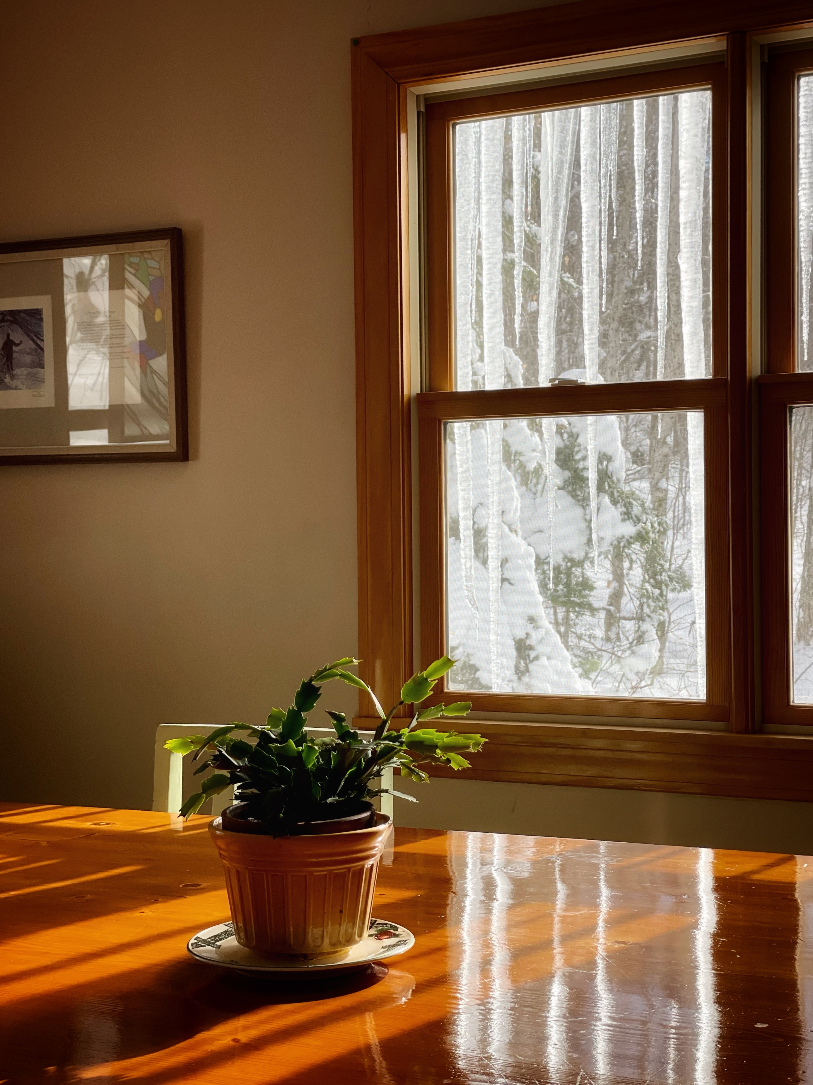 Buck Ridge Lodge