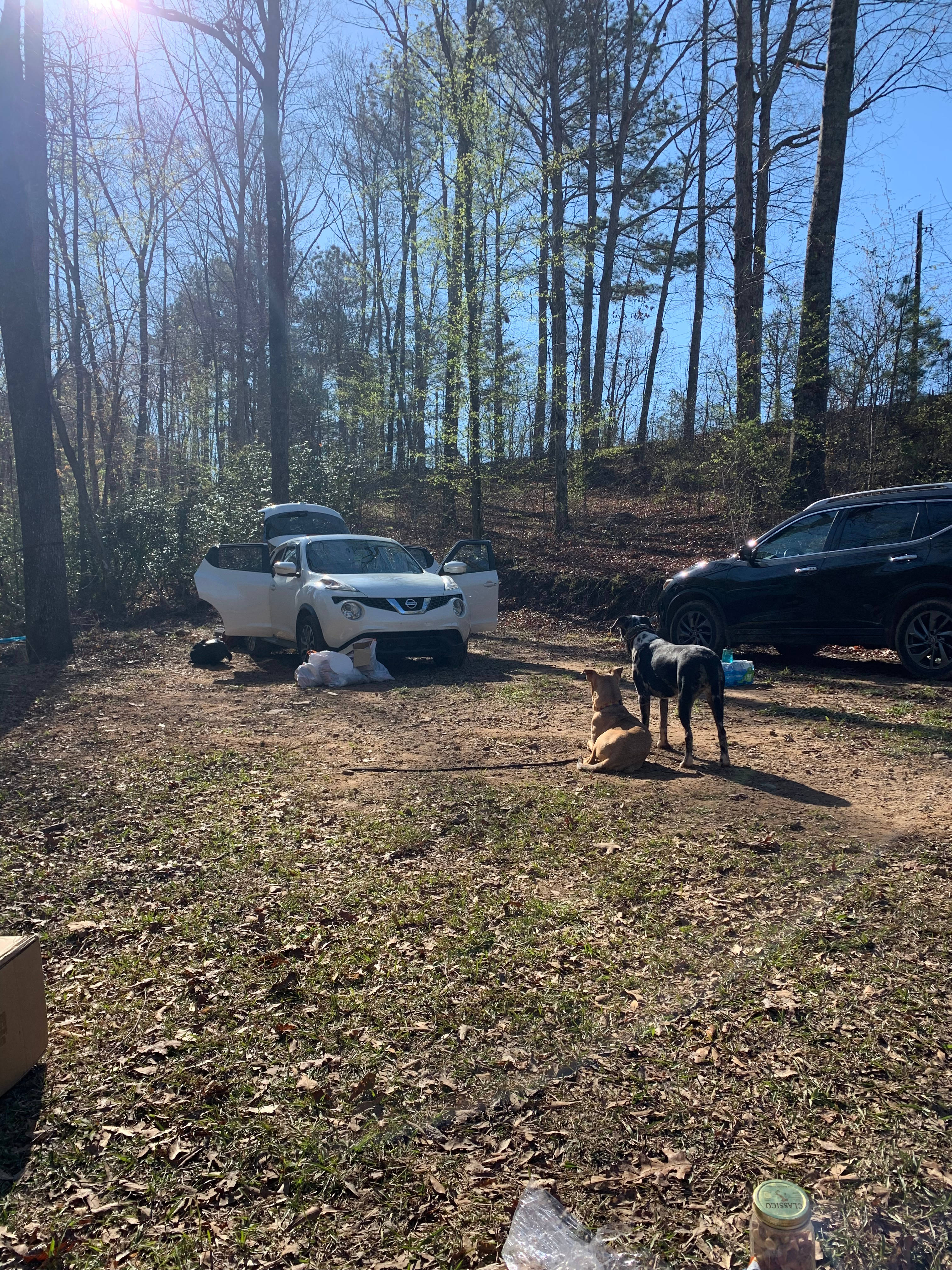 Site 1 and 2 pre tent pitching