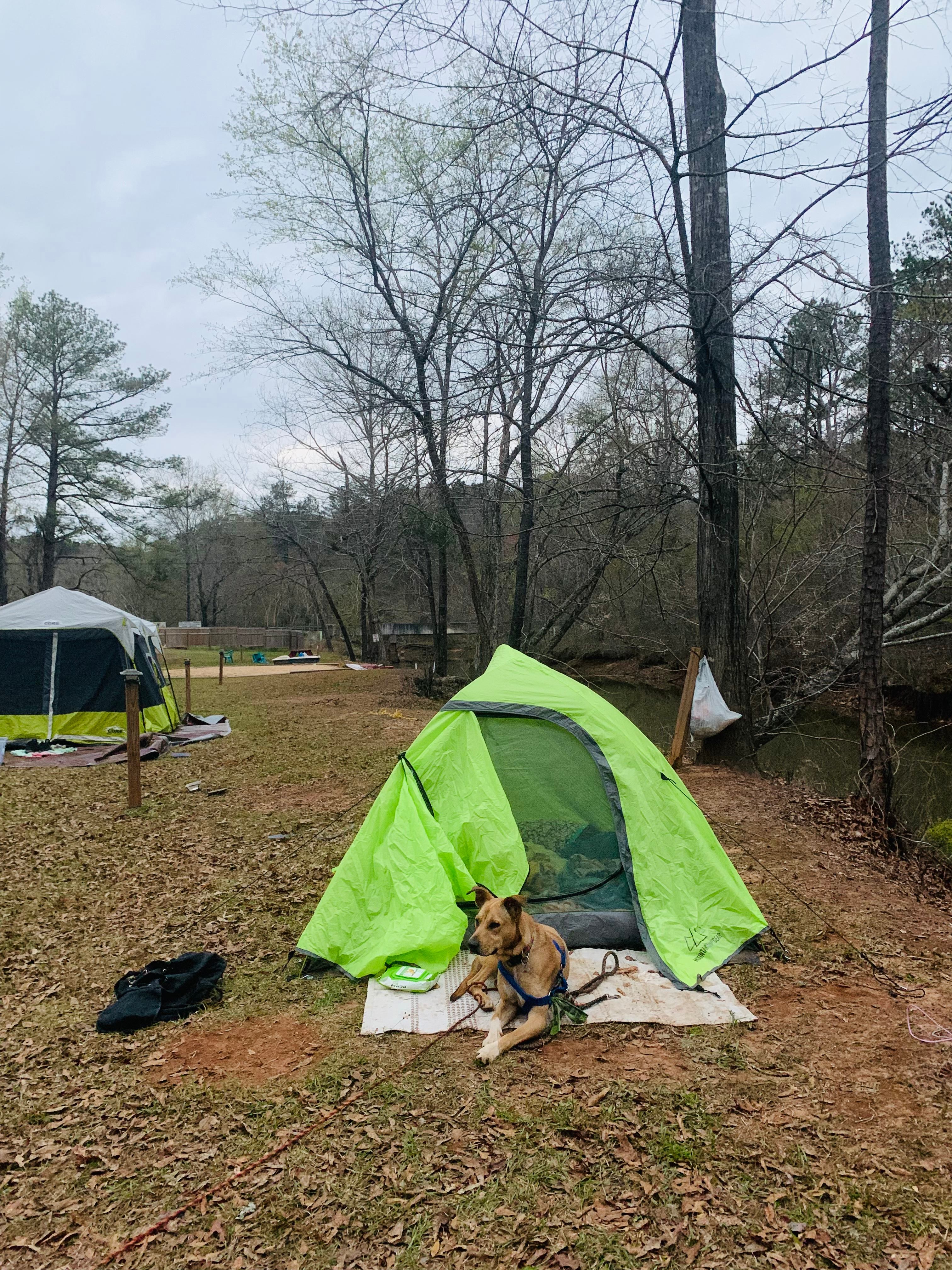 Site 1 and 2 post tent pitching
