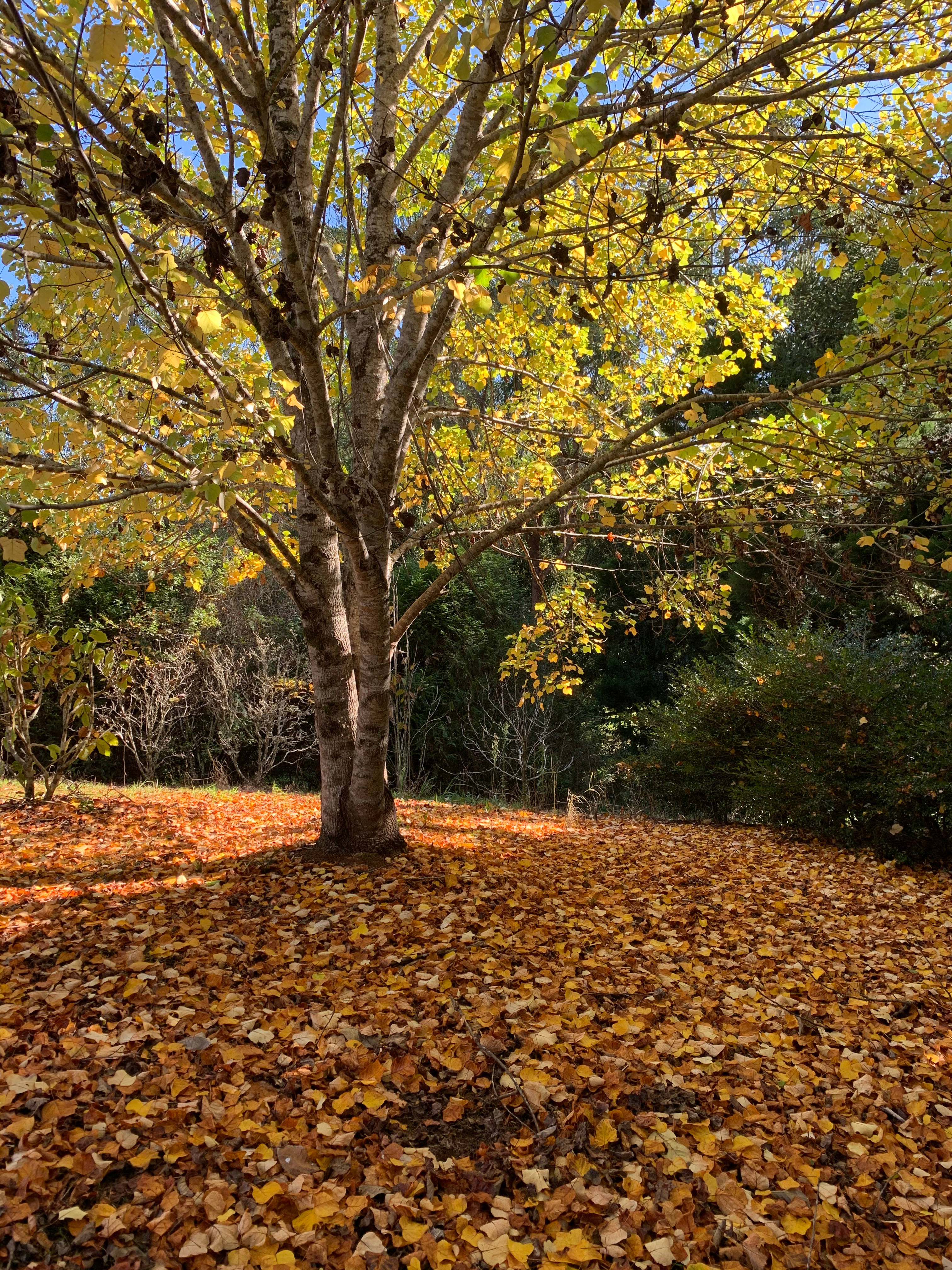 Parkers Place Gardens