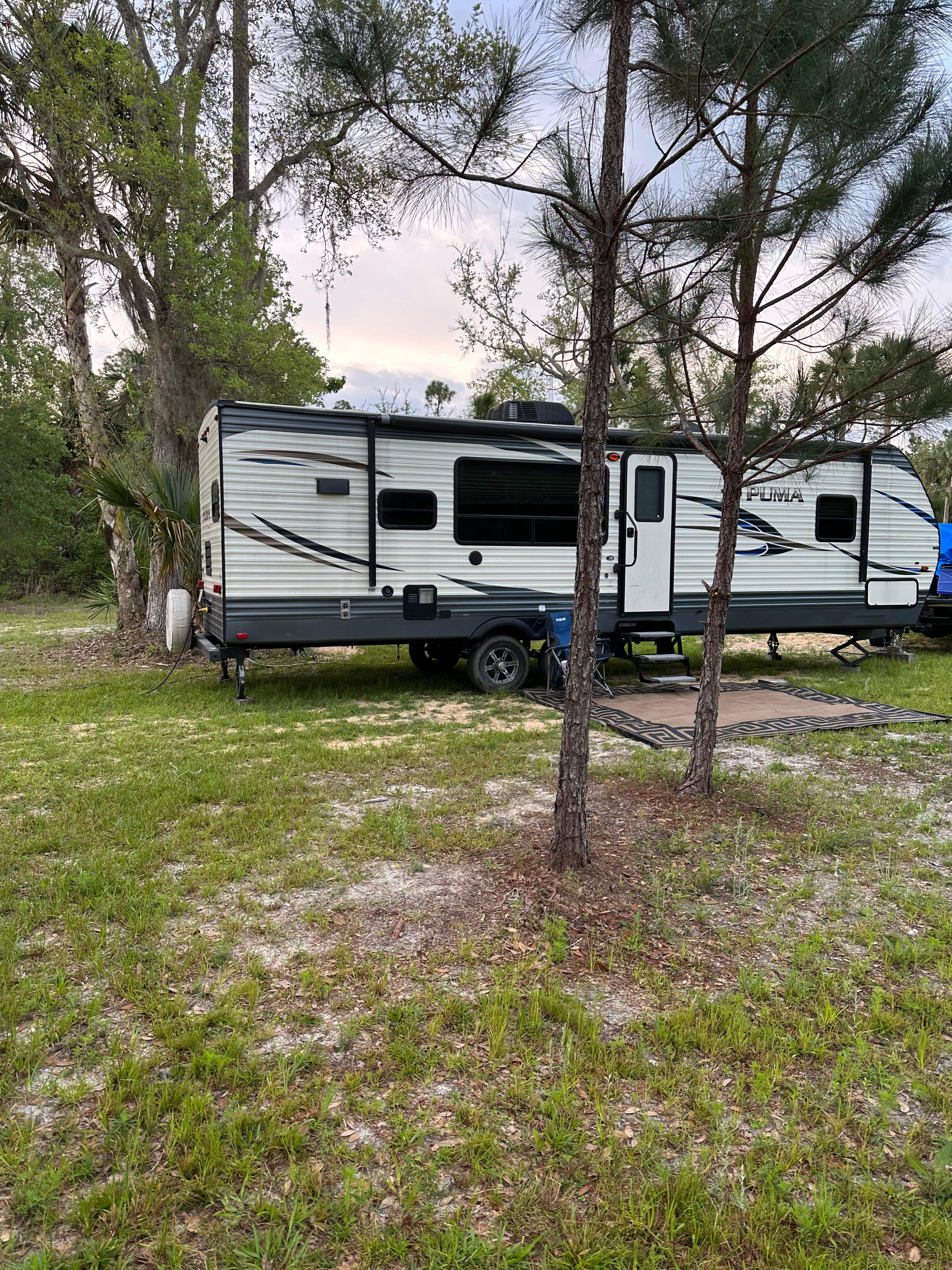 IN THE FOREST AND  CLOSE TO OCEAN