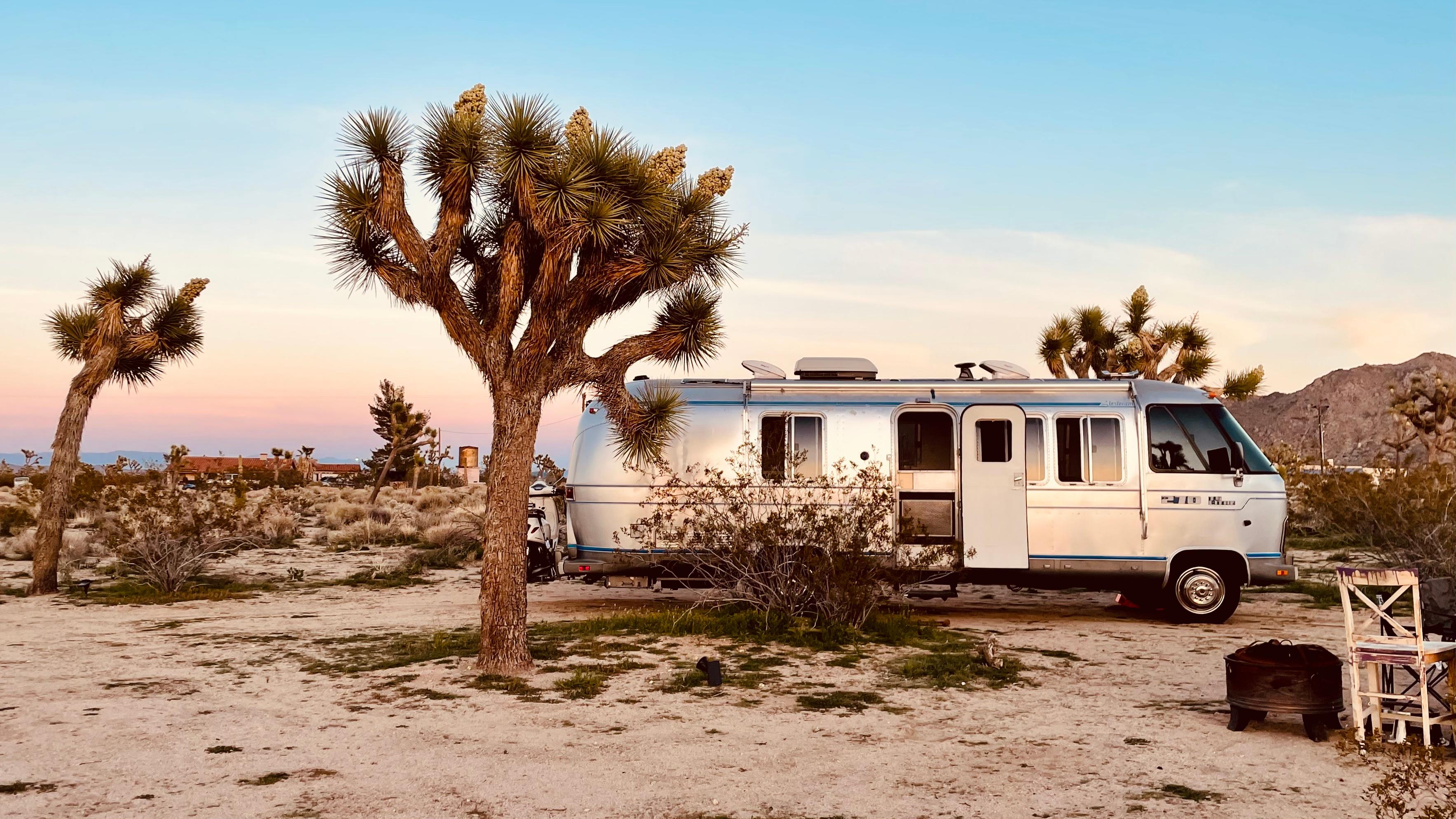 Caribbean Mojave Escape