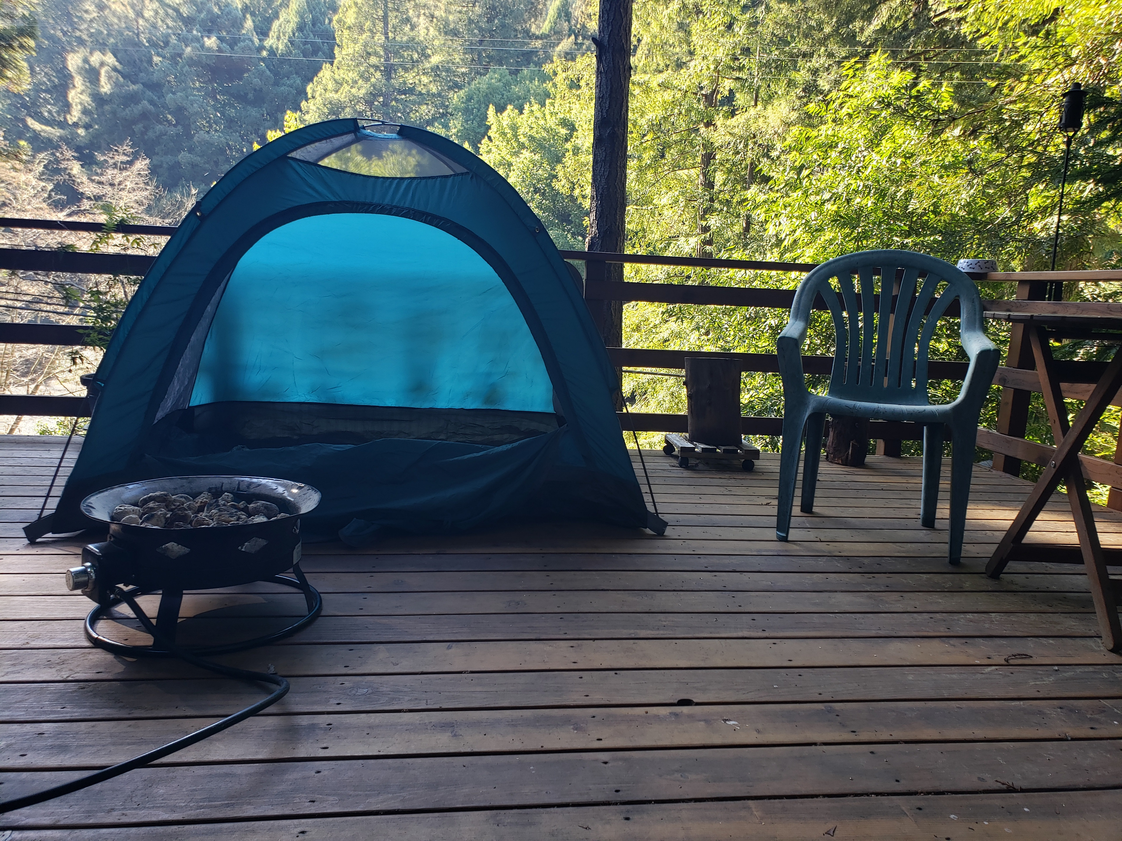 Creek View Tree House