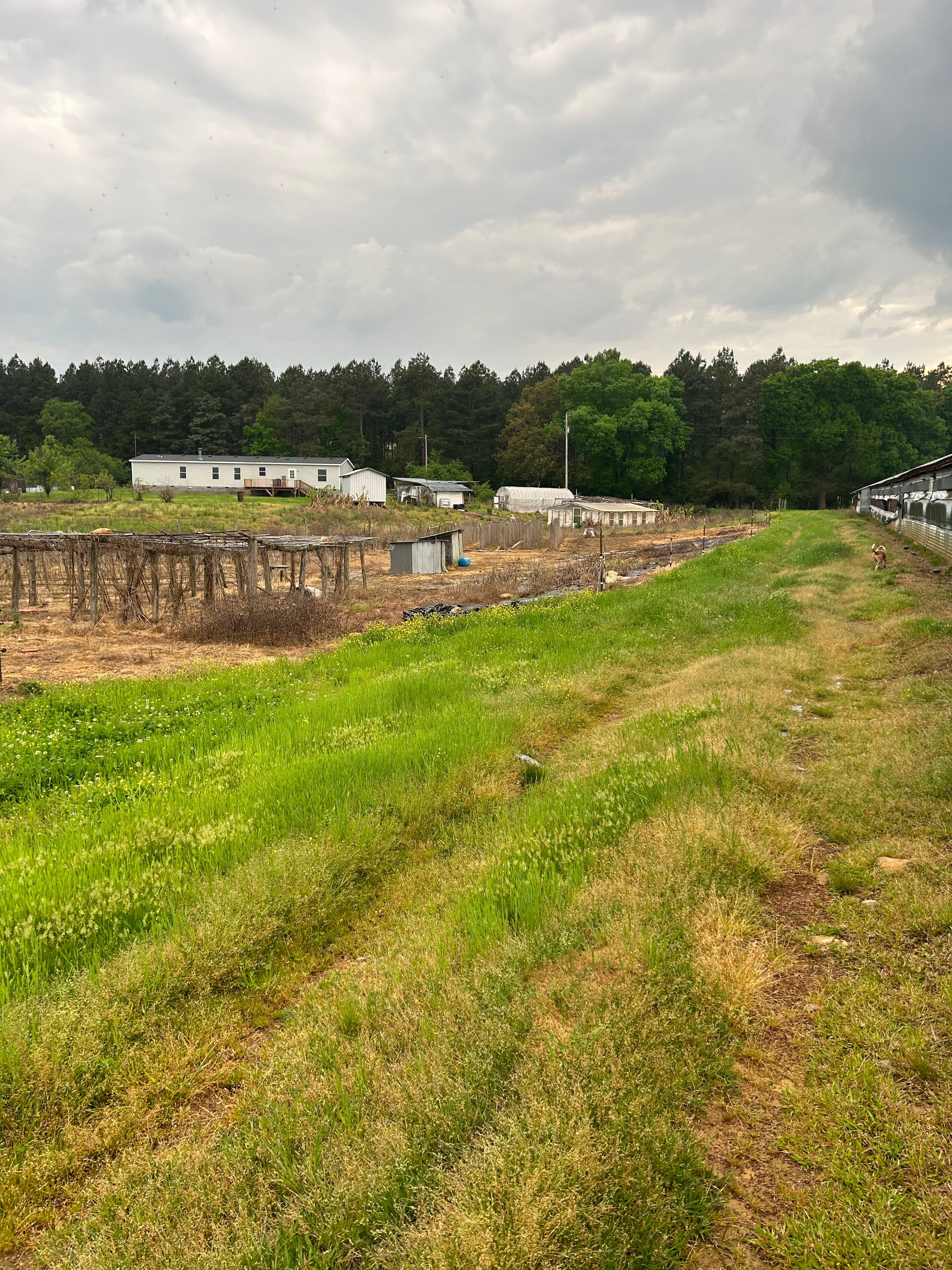 Appleton Farm
