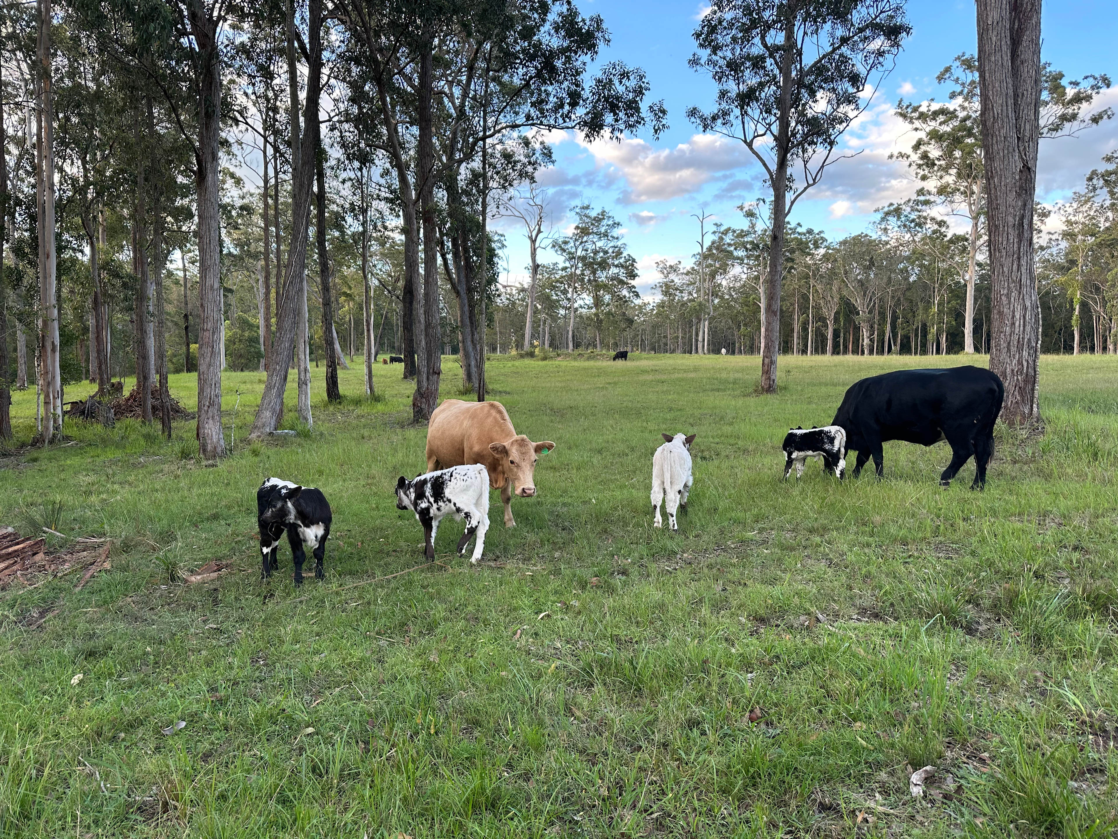 Crockers Creek Hideaway Farm