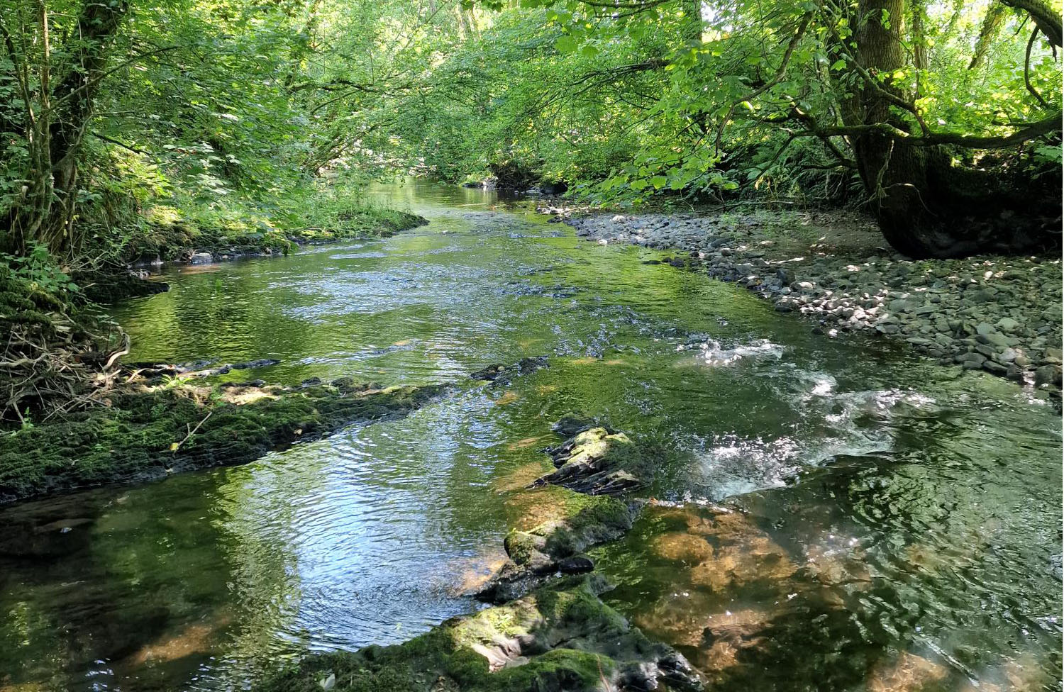 Private Riverside with fishing