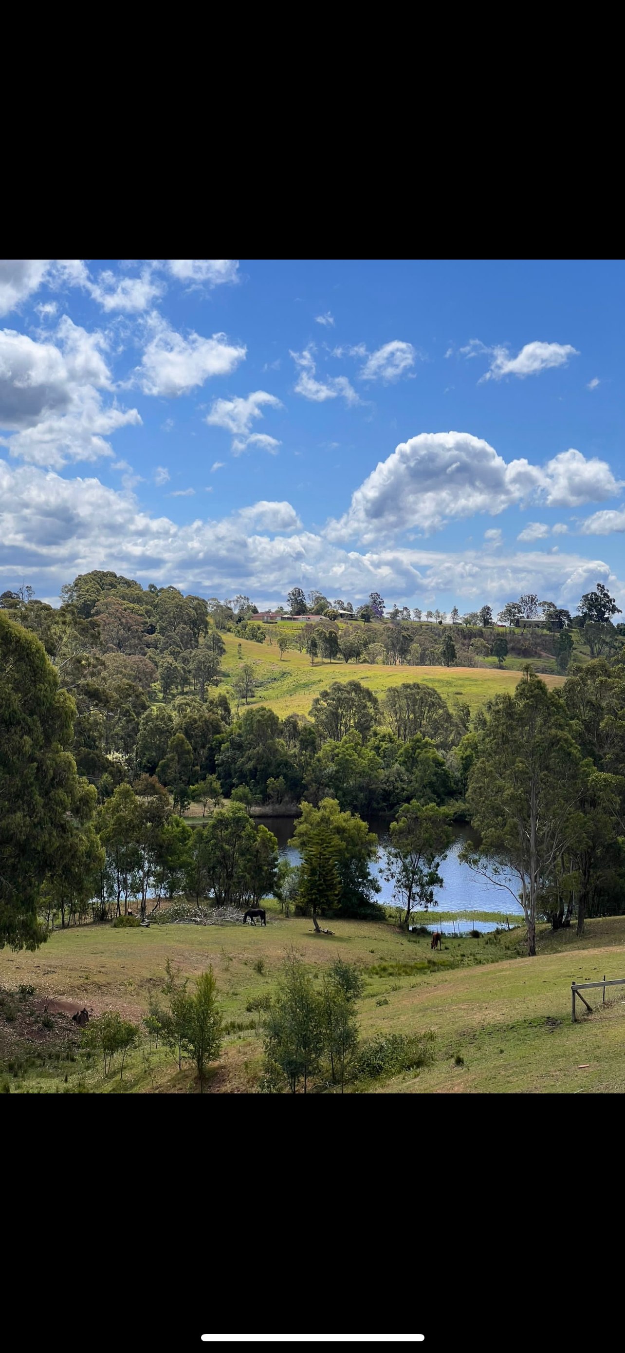 Traditional Legacies