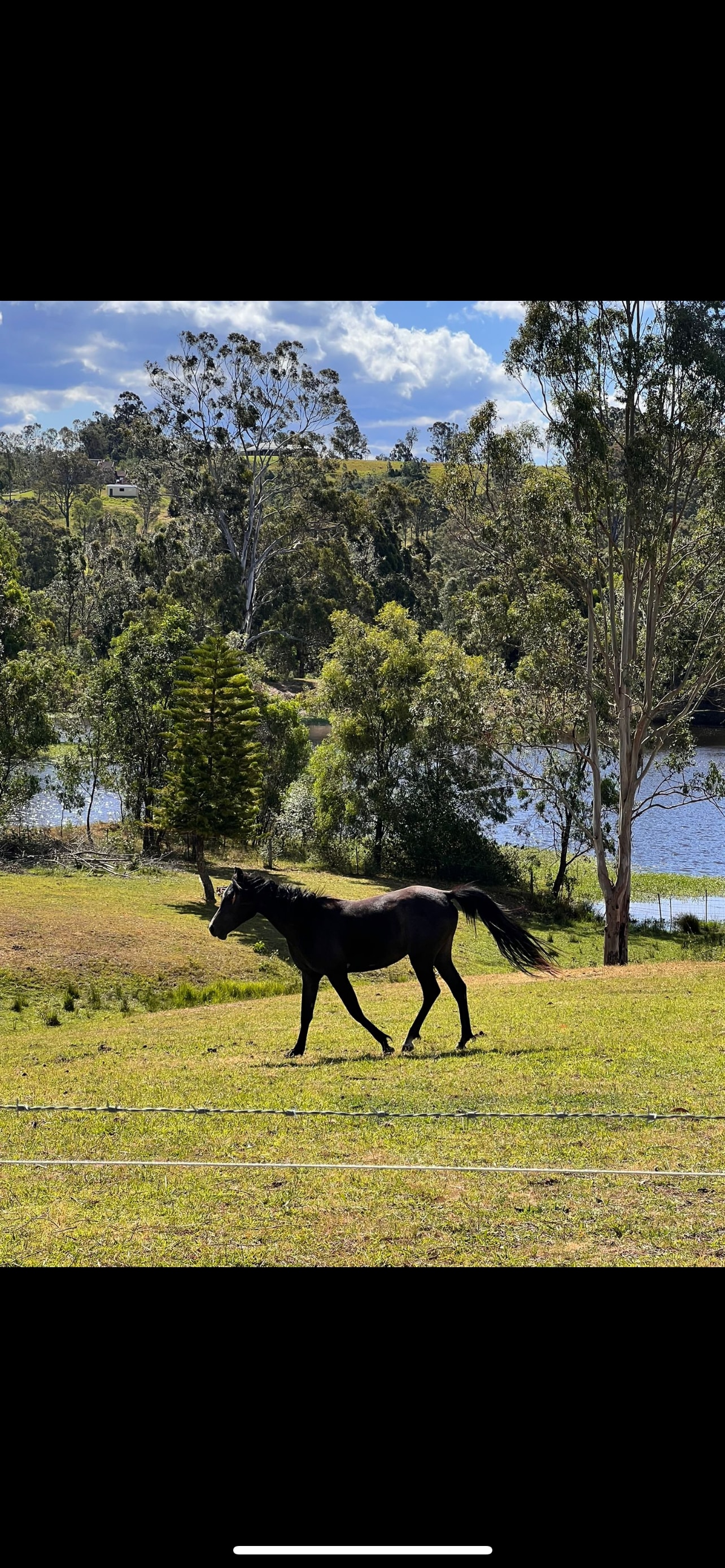 Traditional Legacies