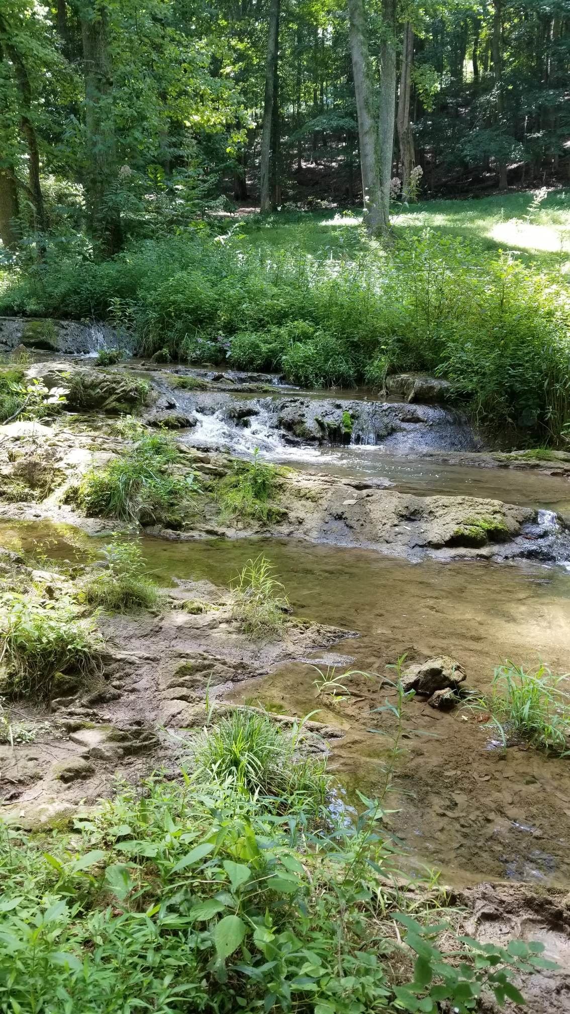 Cabin on the Creek