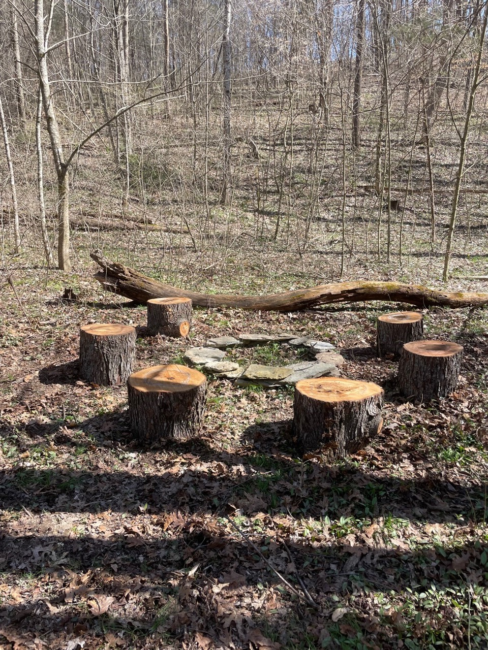 Fire ring by the creek