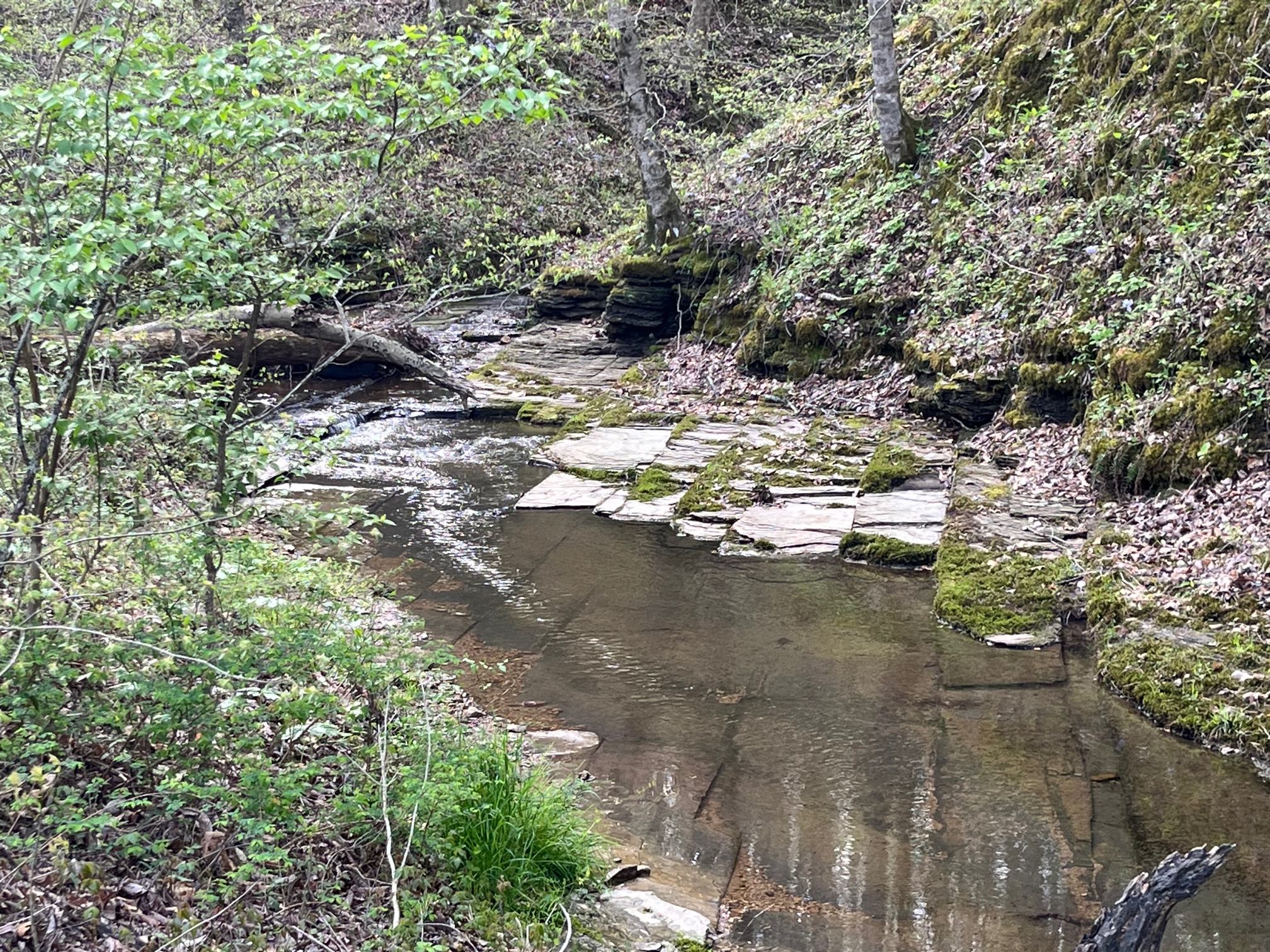 Creek directly behind bus