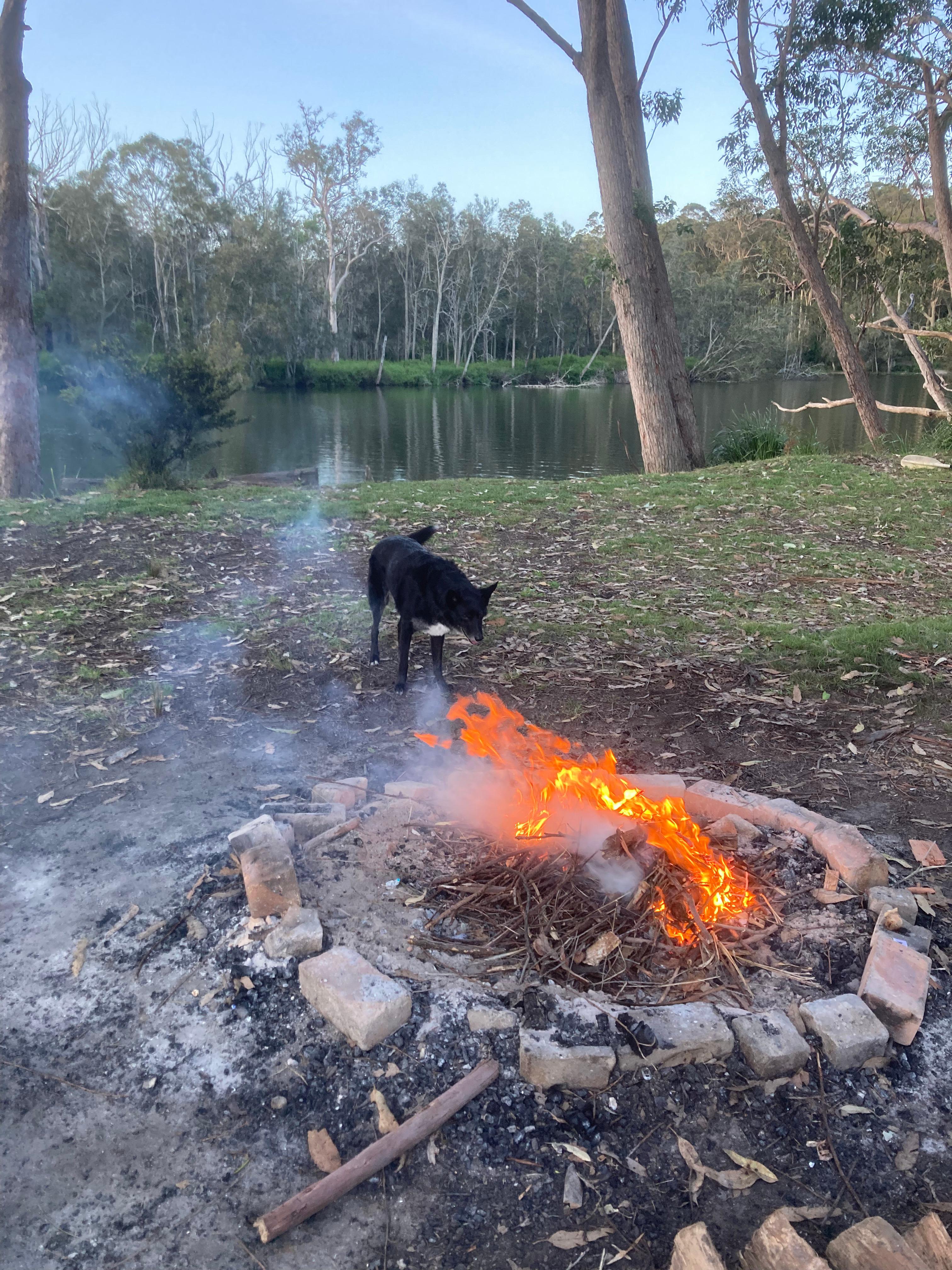 Fire Pit