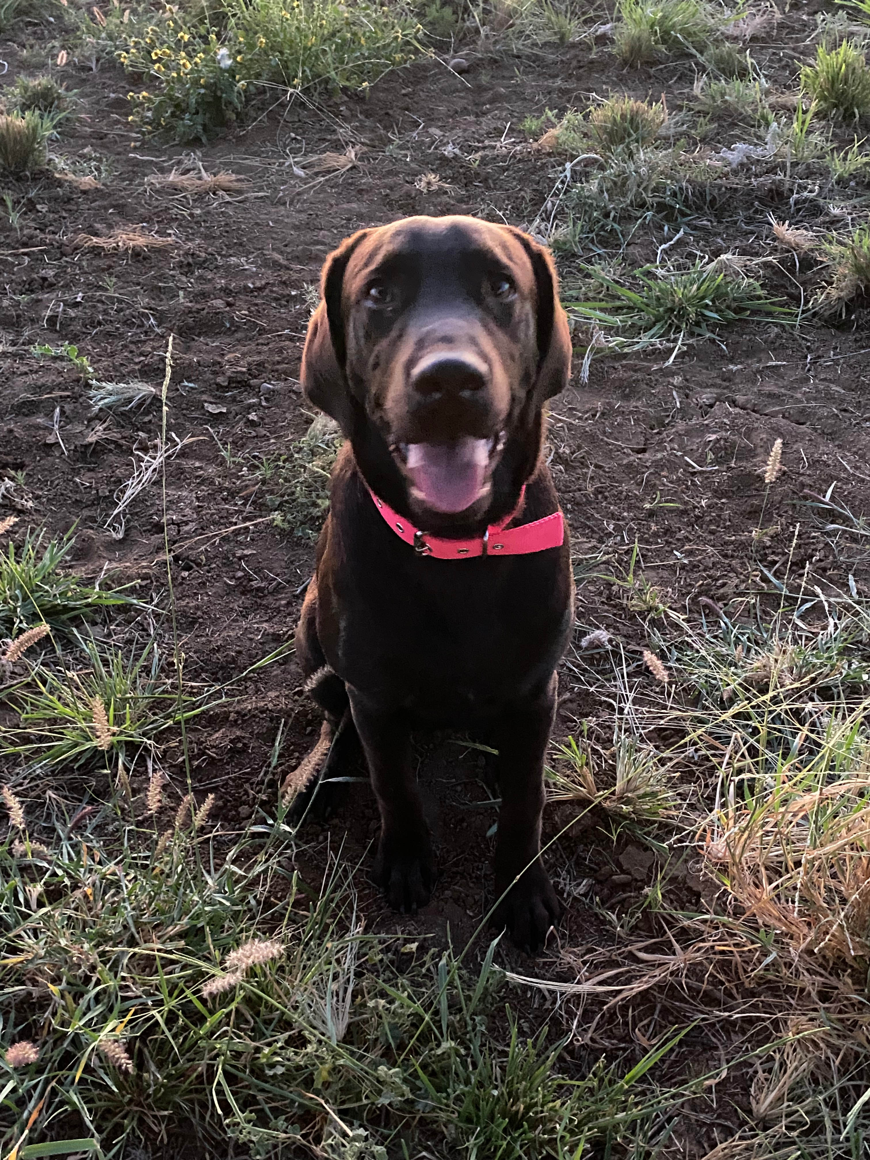 Our wee visitor 😁