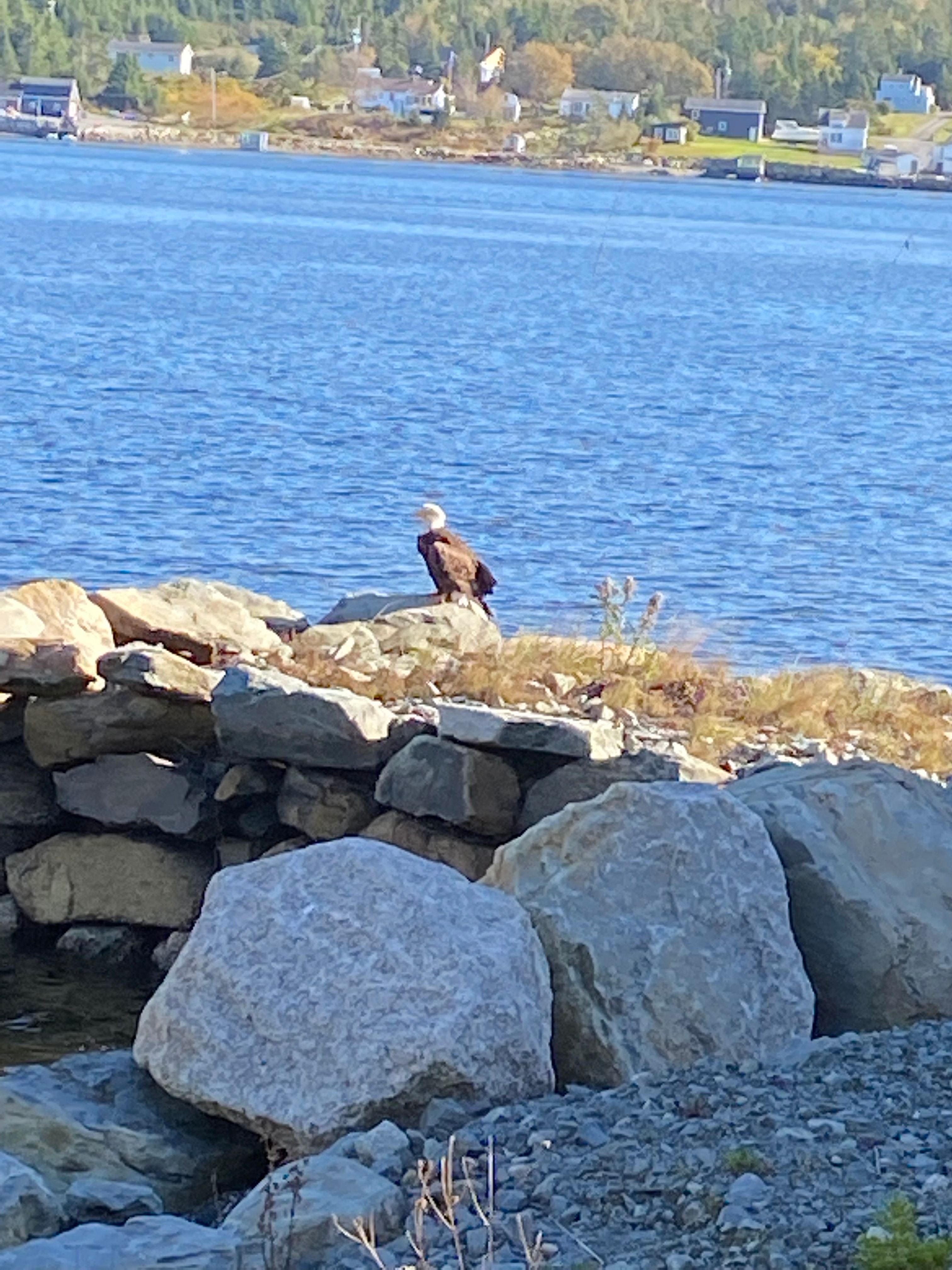 Tent/Camper Camping by the Ocean!