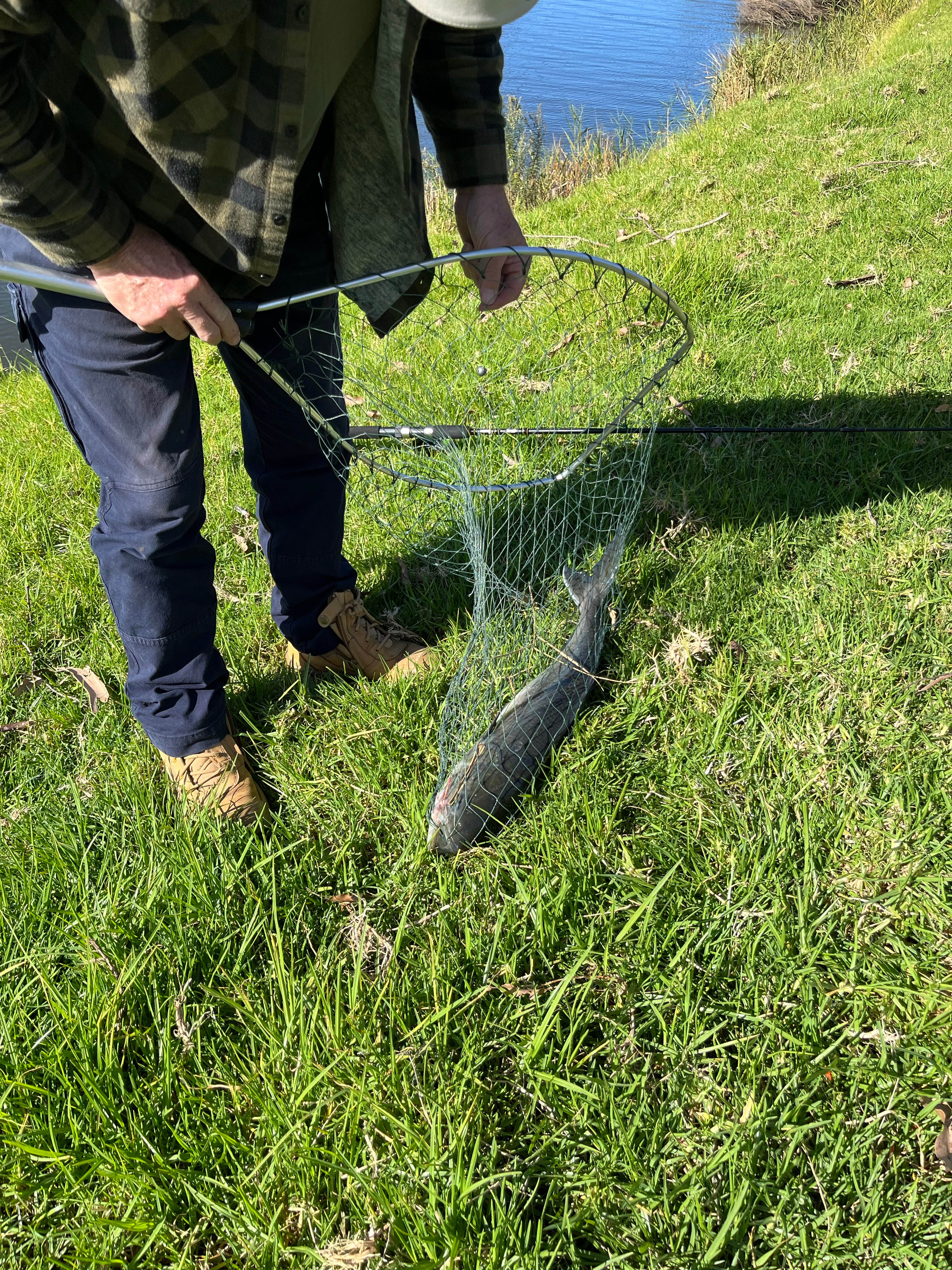 Pepper’s Farmstay South Coast
