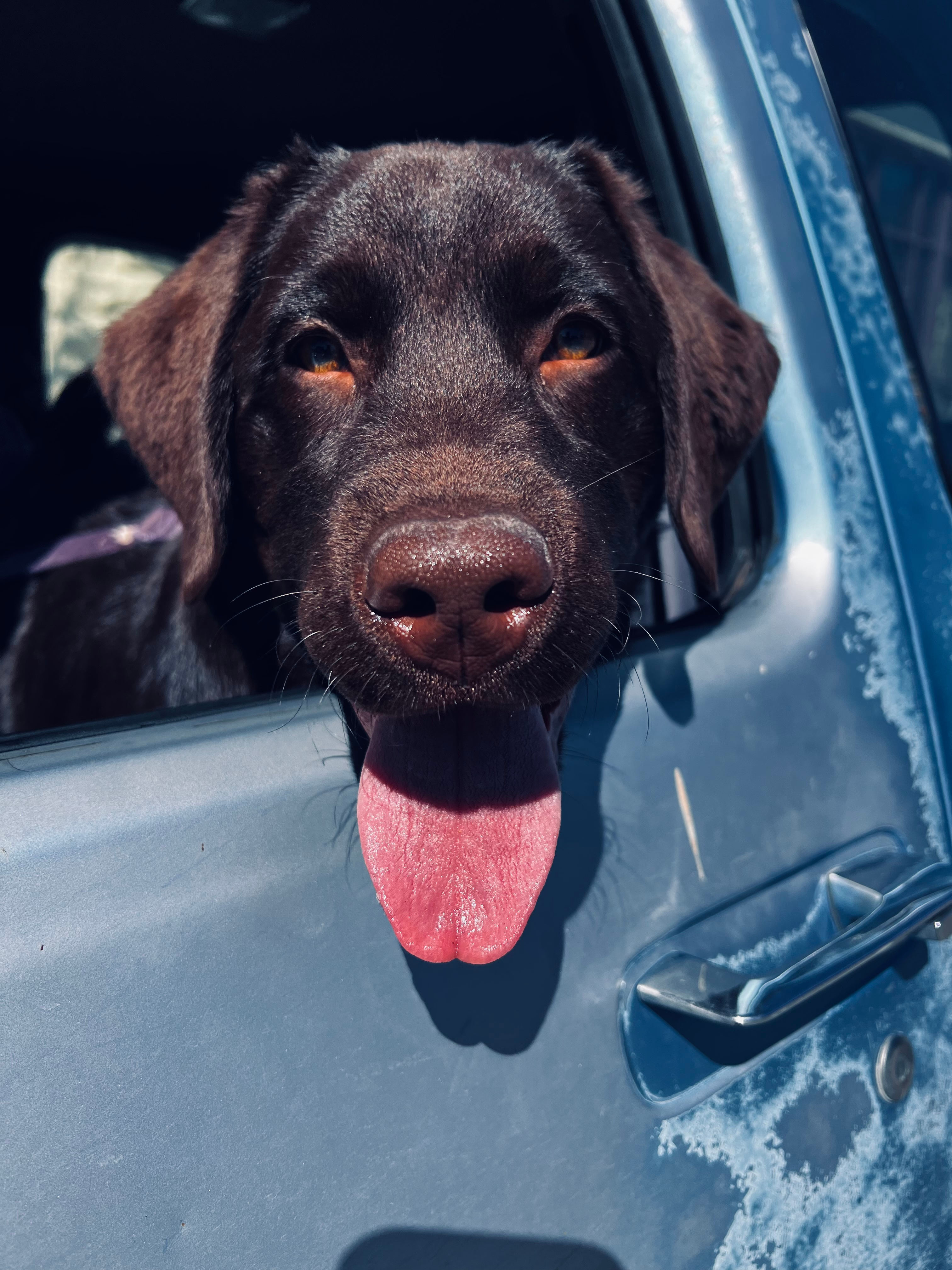 Near Fruita Bike Trails
