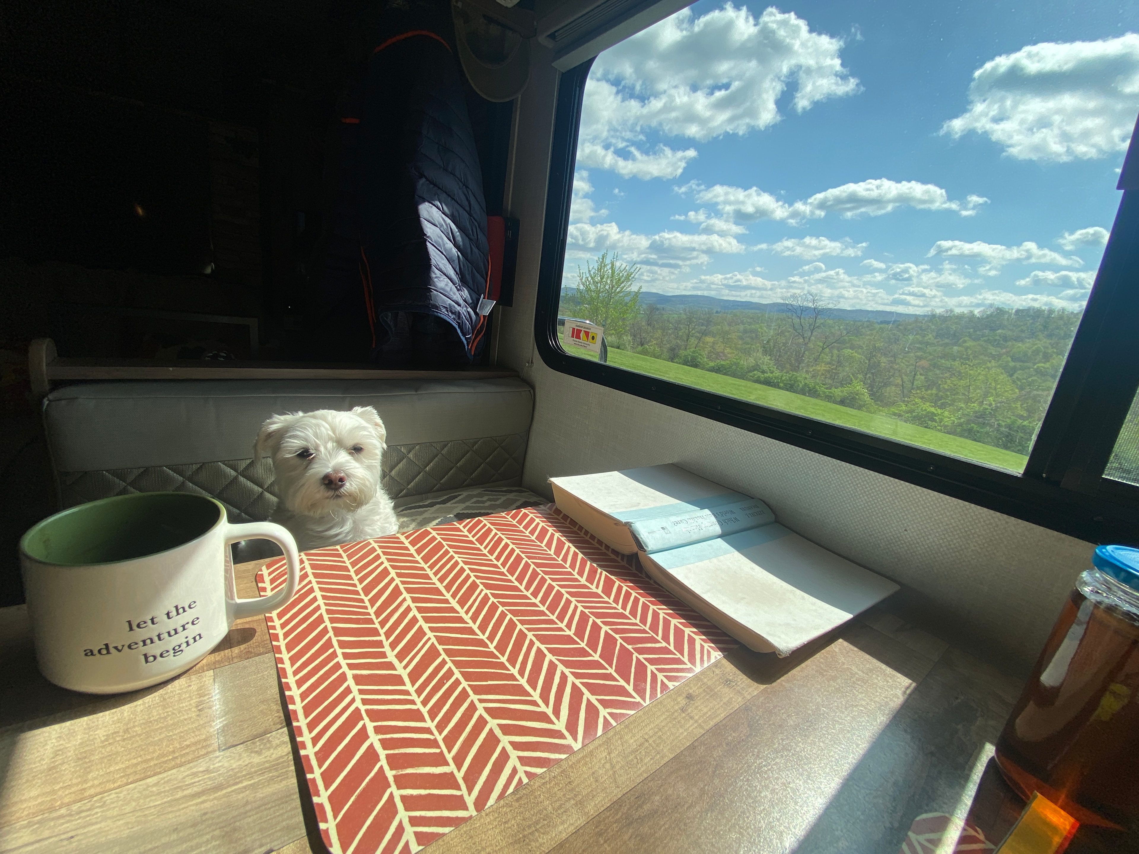 Mountains of Morgantown 💙💛