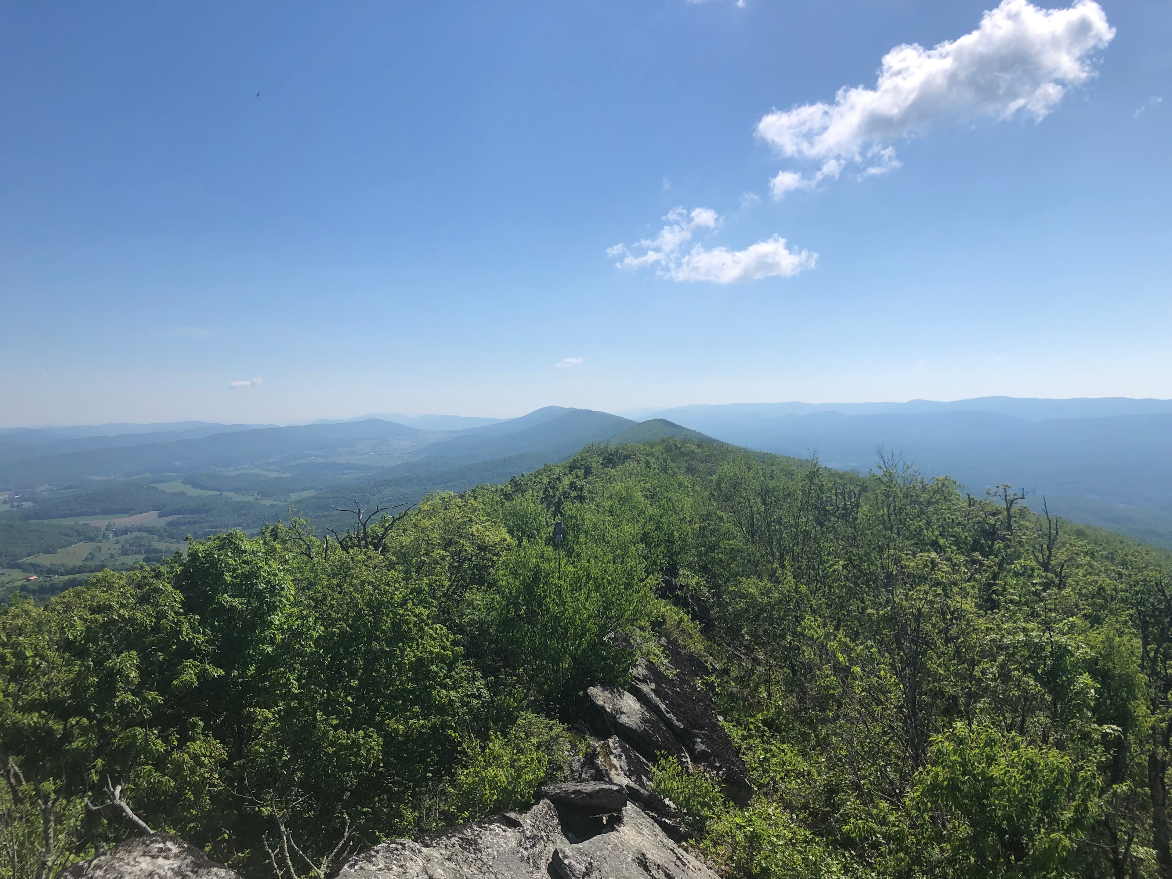 Peters Mountain Farm
