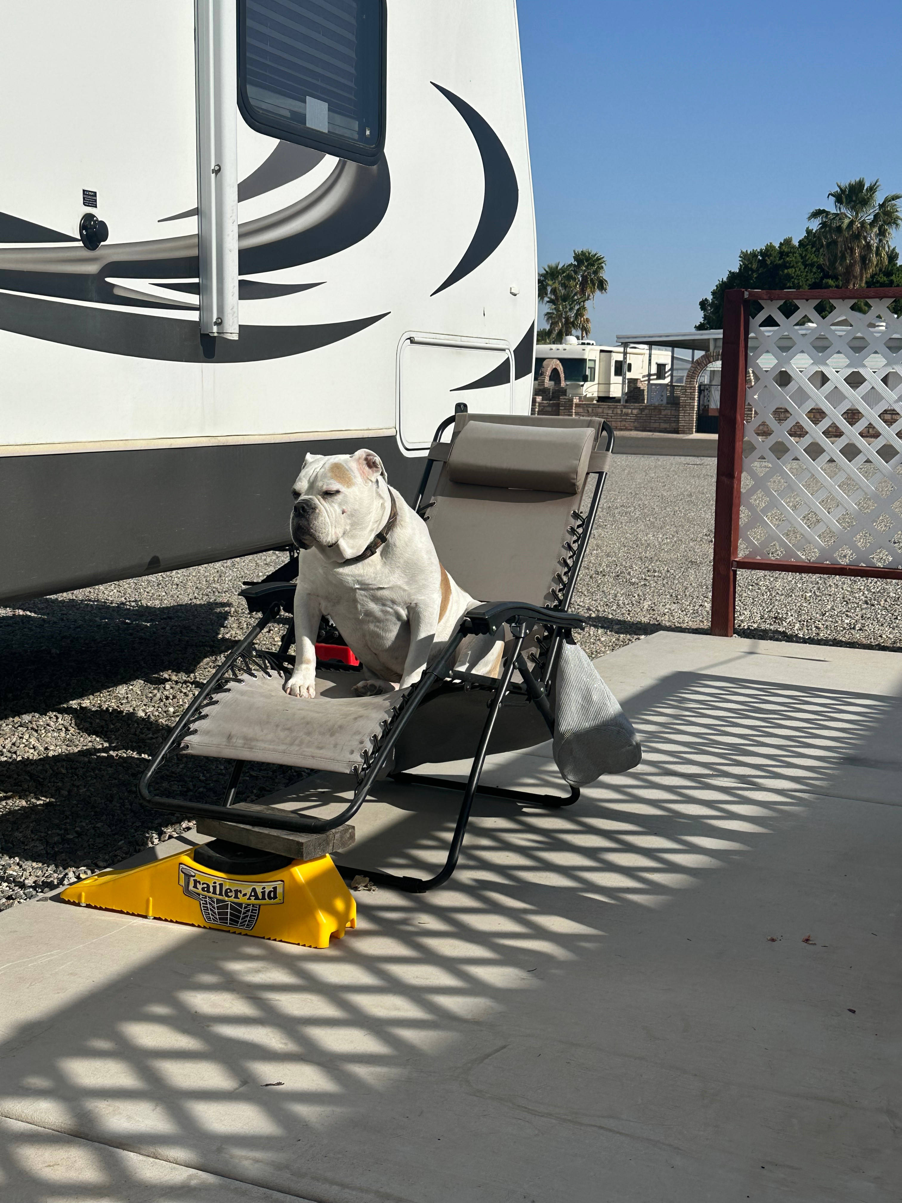 Yuma’s Own Little Campland