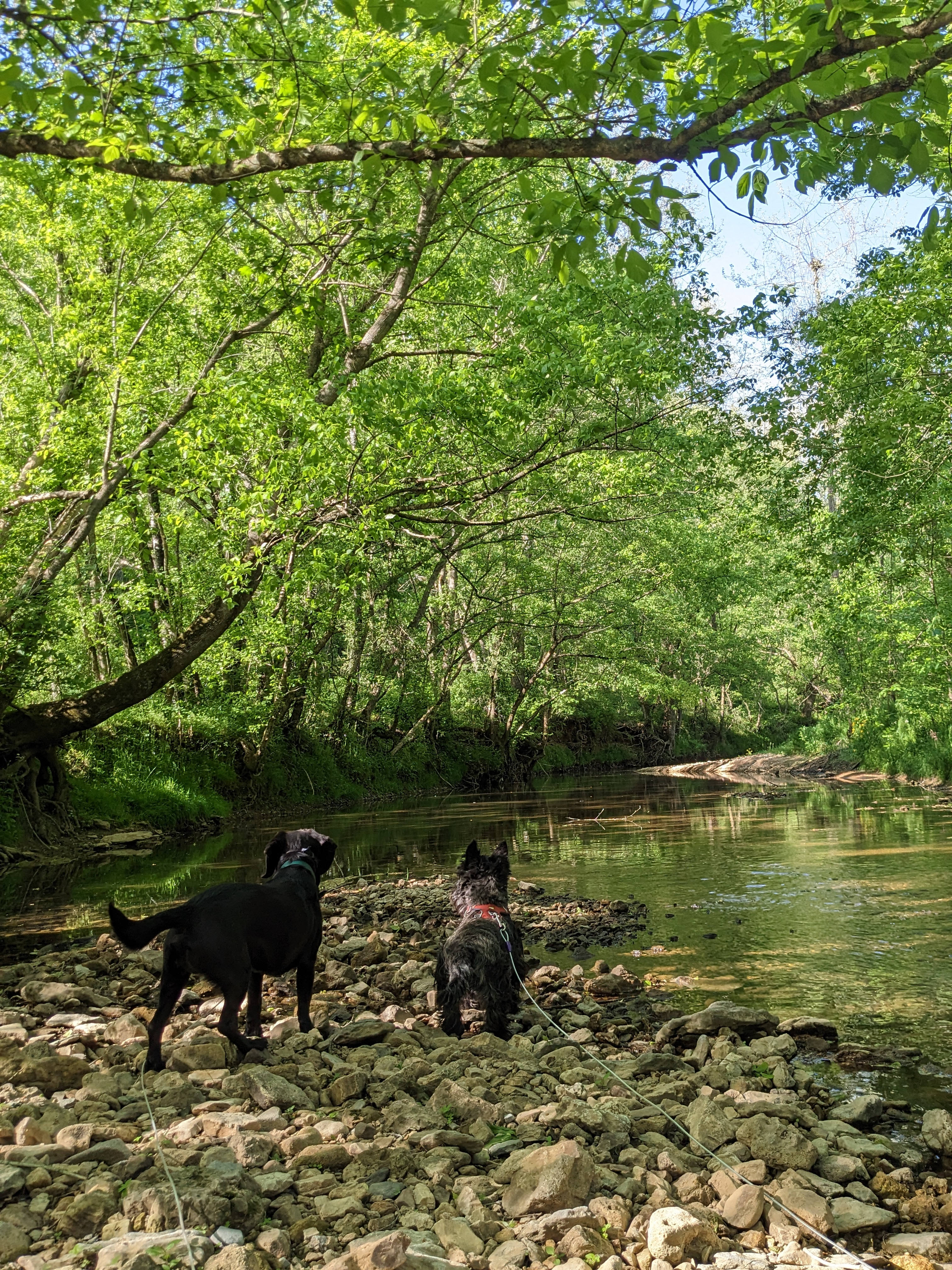 Caney Hollow Creek Retreat