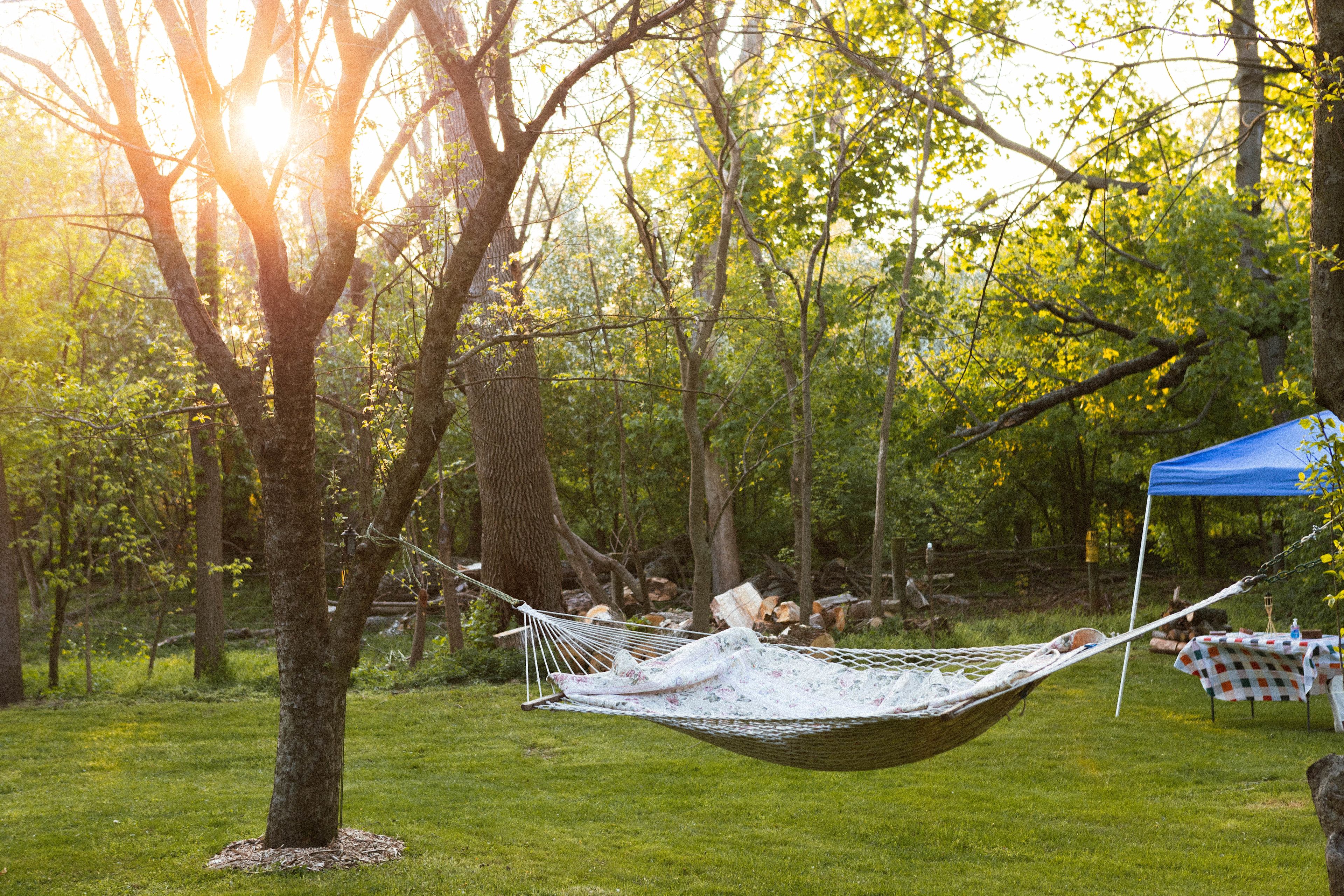 hammock in the yard 