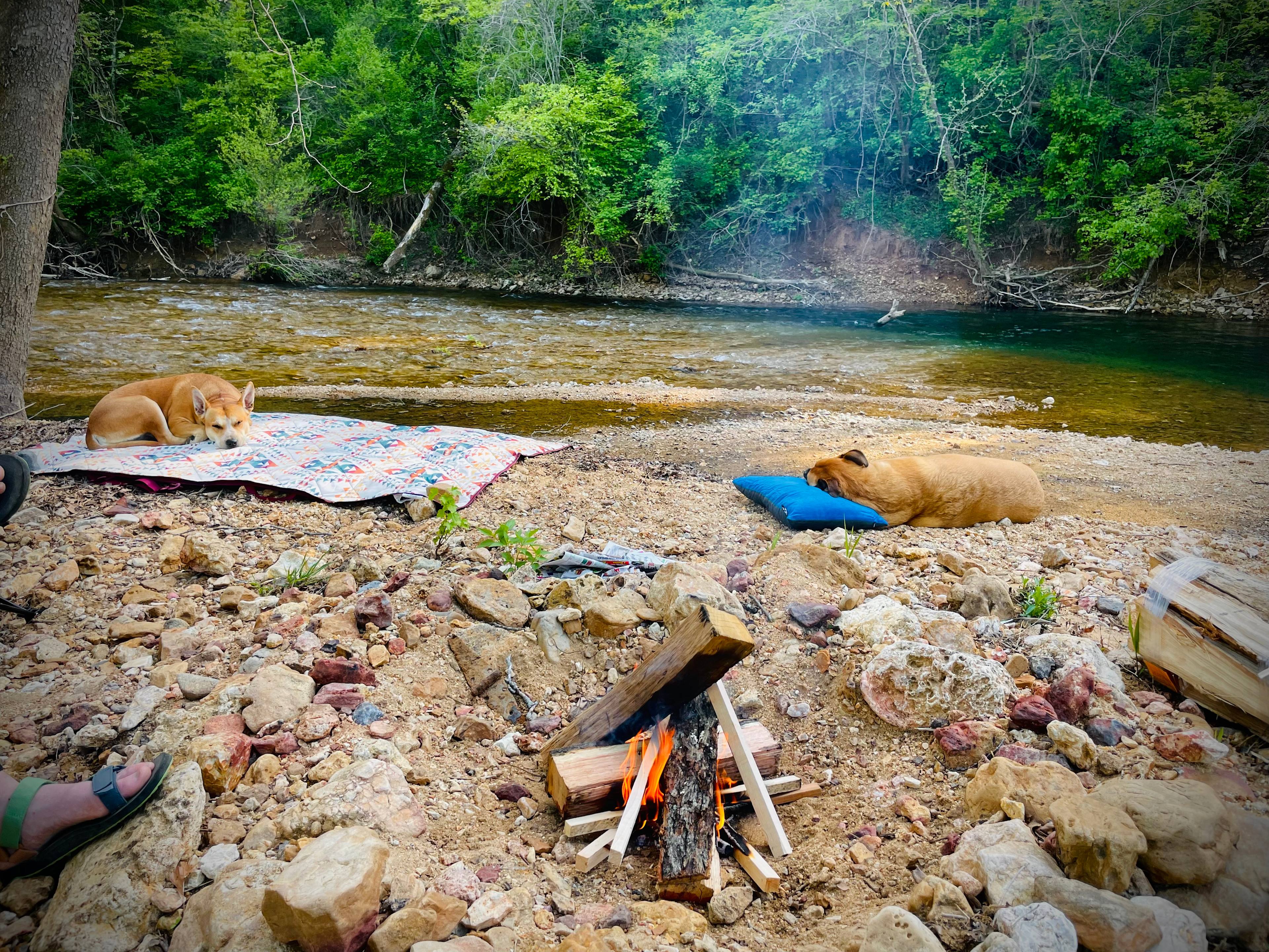 Saco Valley Farm, LLC